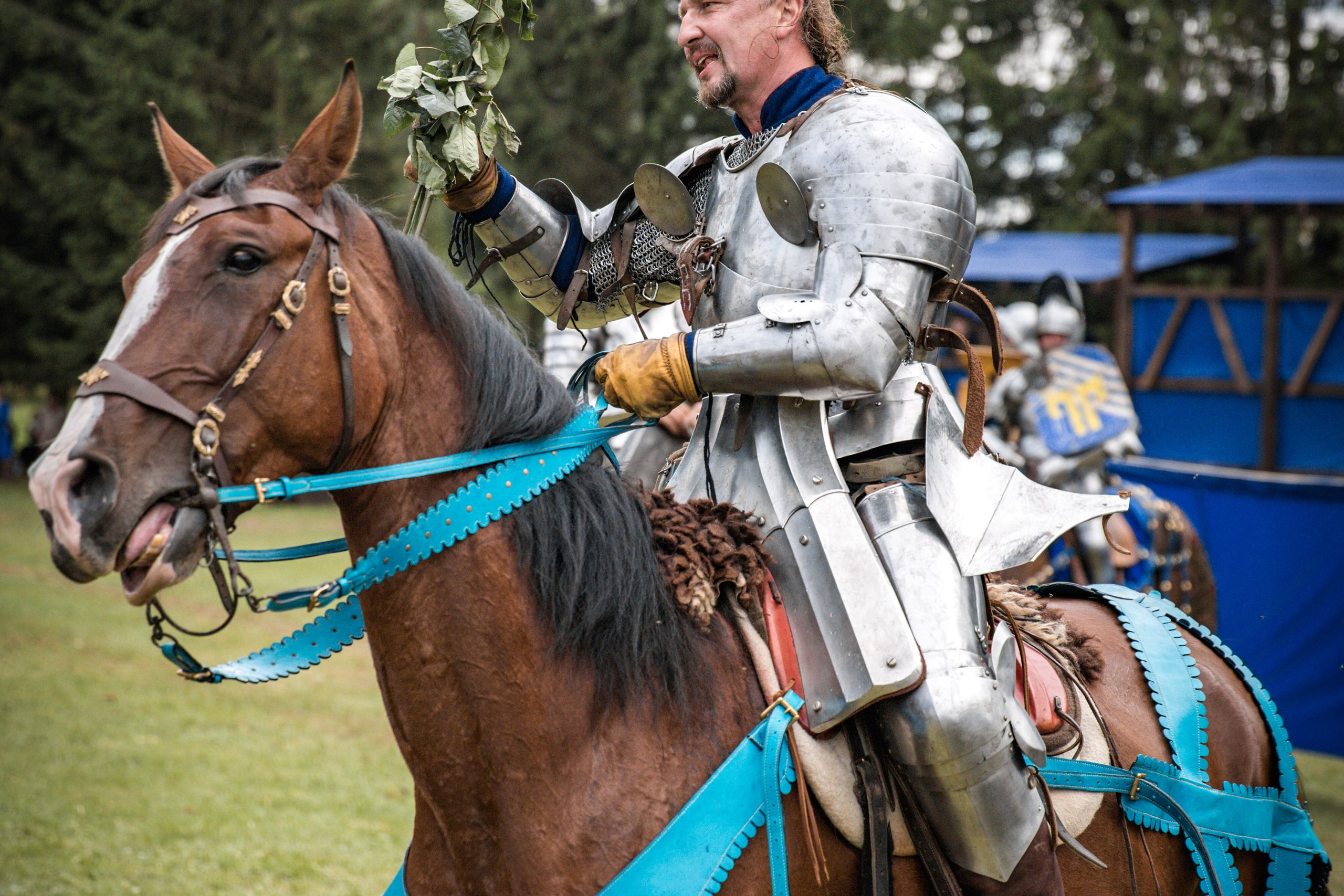 Наш Грюнвальд 2025. Рыцарский турнир. Профессиональный интерьерный и репортажный фотограф Минск и РБ. Максим Орлов