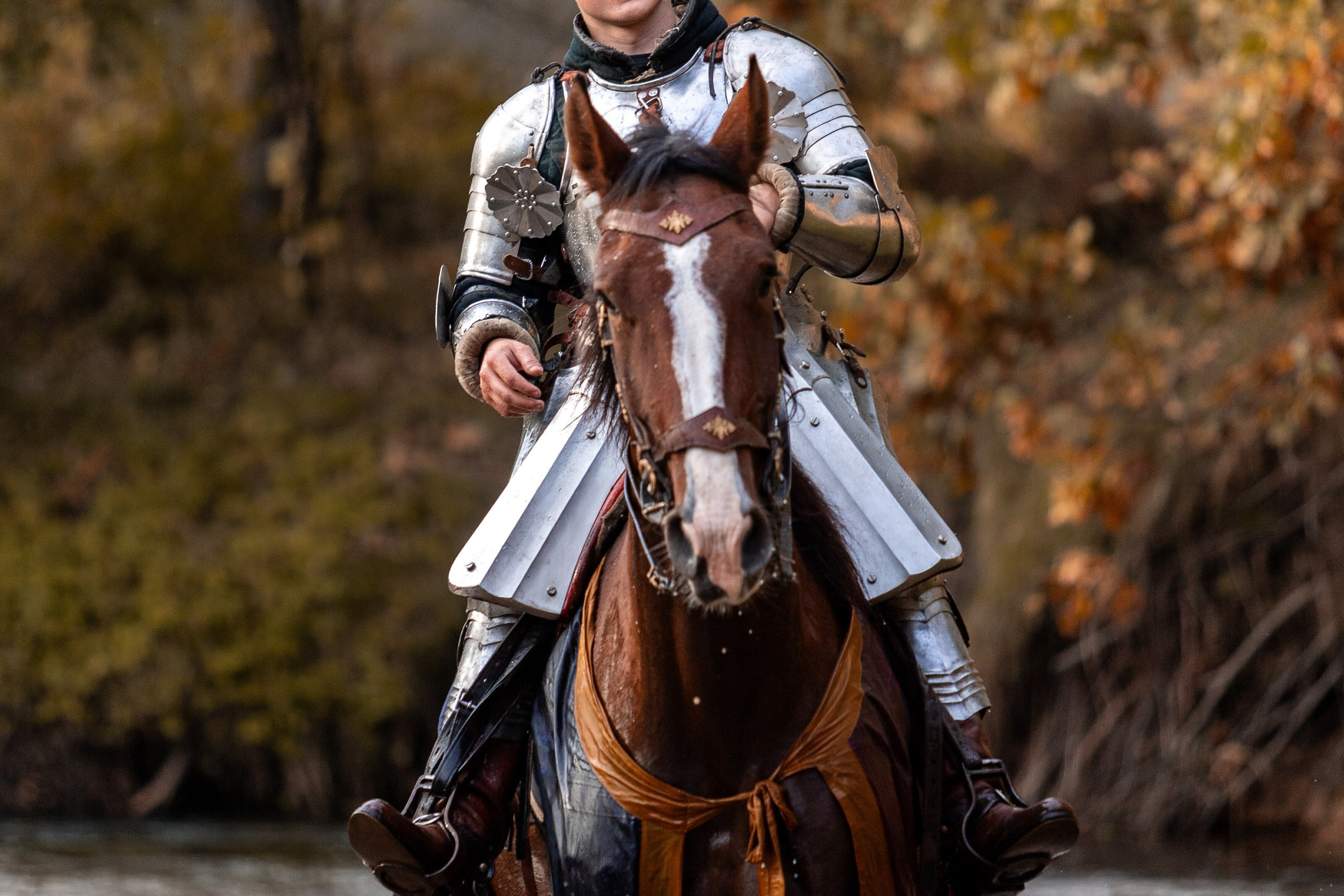 Рыцарская с Афиной. Дима Теслик. Профессиональный интерьерный и репортажный фотограф Минск и РБ. Максим Орлов