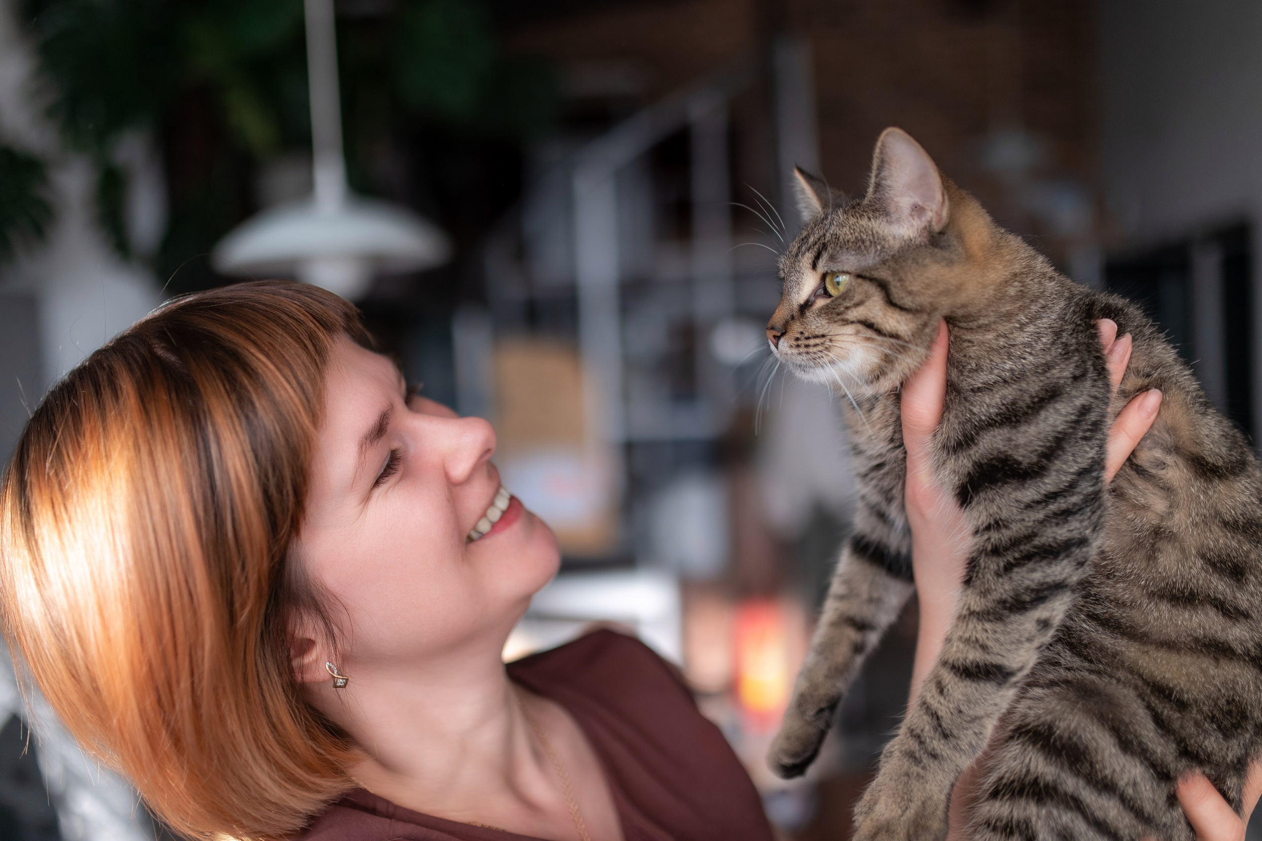 Котики для Old Cat. Профессиональный интерьерный и репортажный фотограф Минск и РБ. Максим Орлов