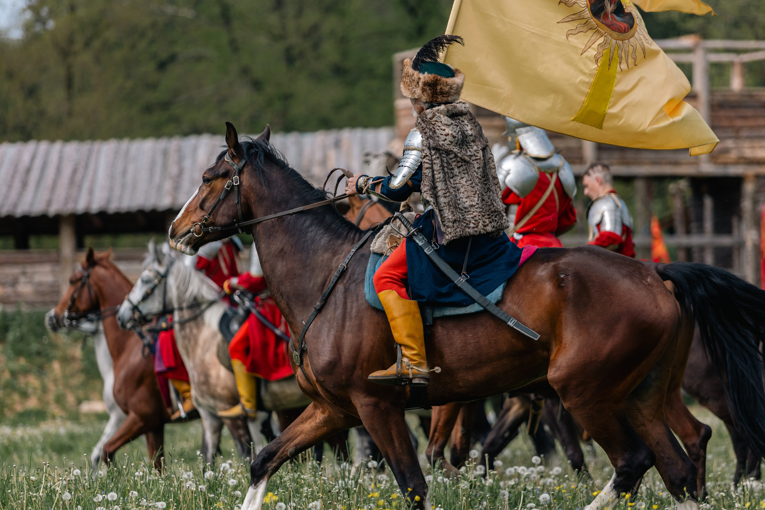 Золотая шпора. Маневры 17 века. Профессиональный интерьерный и репортажный фотограф Минск и РБ. Максим Орлов