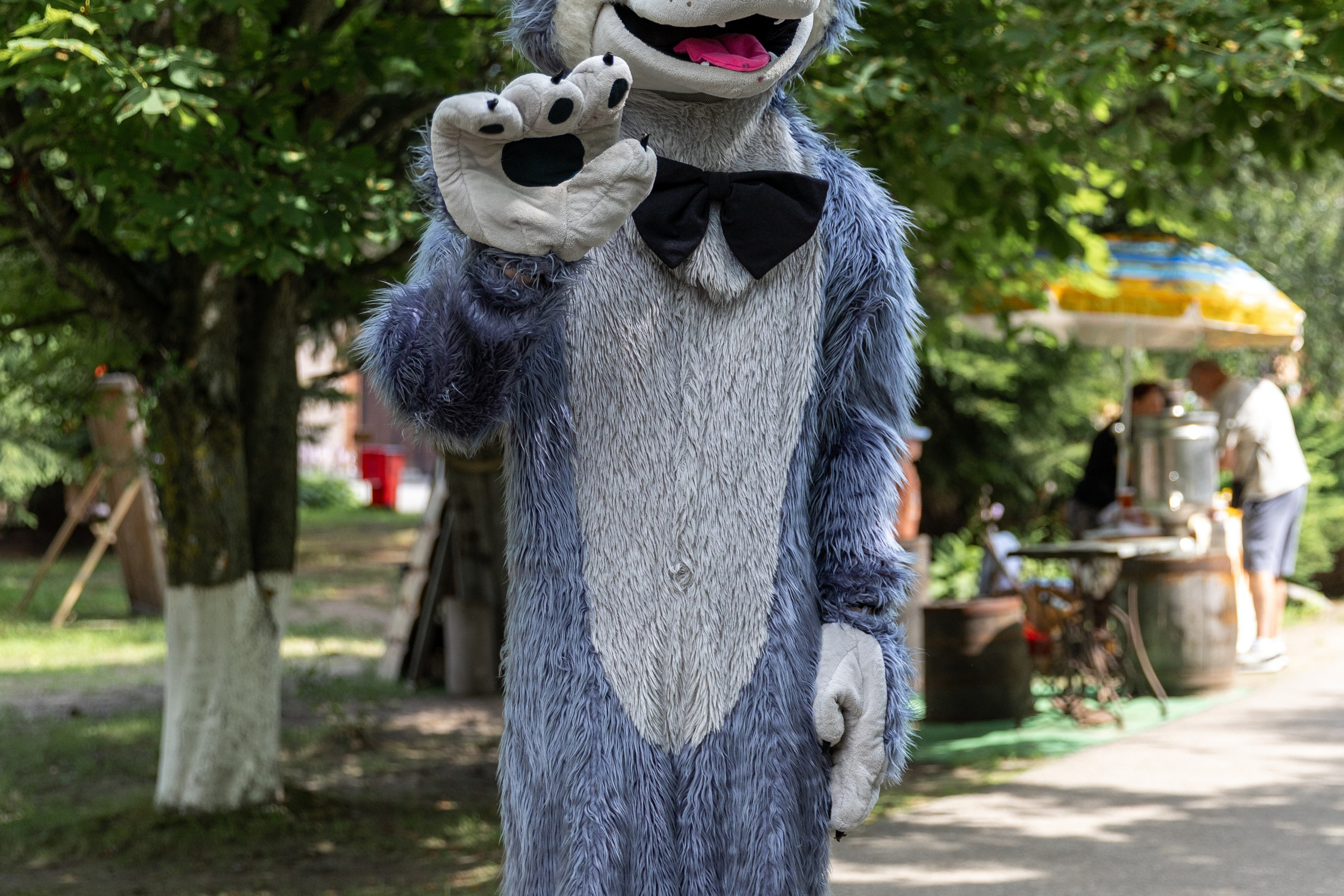 Детифест. Профессиональный интерьерный и репортажный фотограф Минск и РБ. Максим Орлов