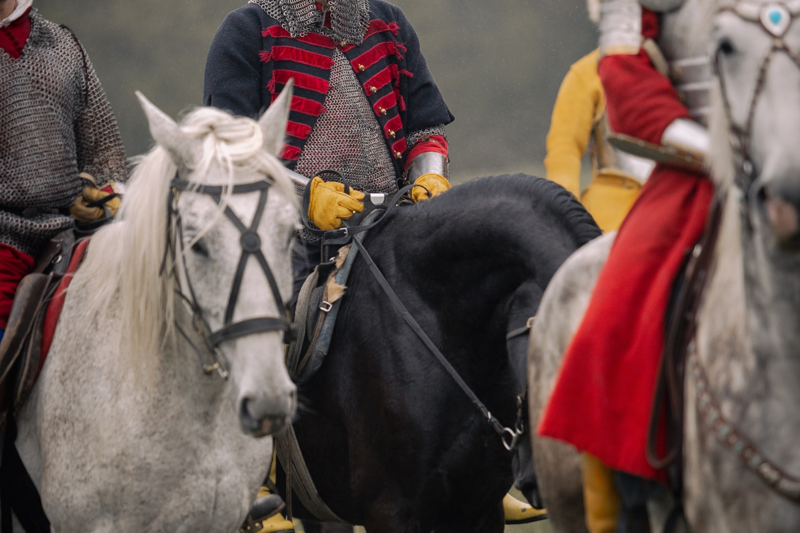 Золотая шпора. Огнем и мечем. День третий. Бой на поле. Профессиональный интерьерный и репортажный фотограф Минск и РБ. Максим Орлов