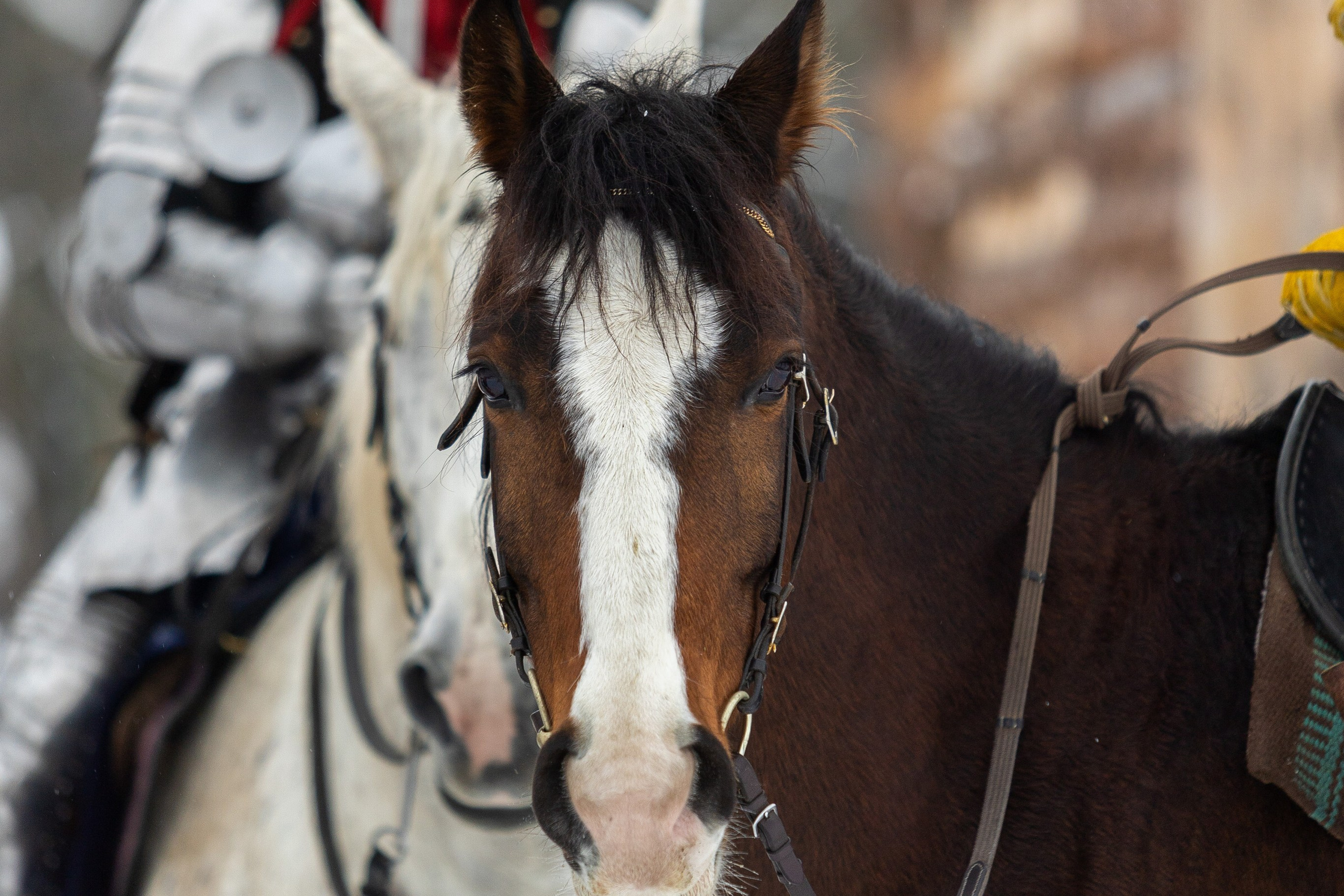 Зимние рыцарские маневры. Профессиональный интерьерный и репортажный фотограф Минск и РБ. Максим Орлов