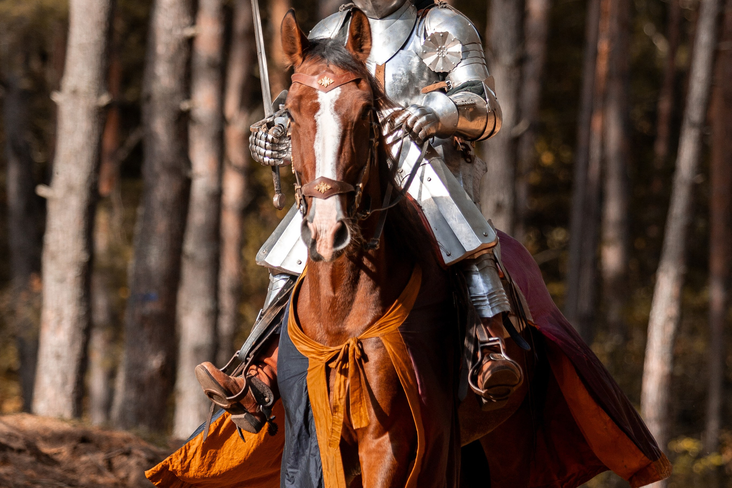 Рыцарская с Афиной. Дима Теслик. Профессиональный интерьерный и репортажный фотограф Минск и РБ. Максим Орлов