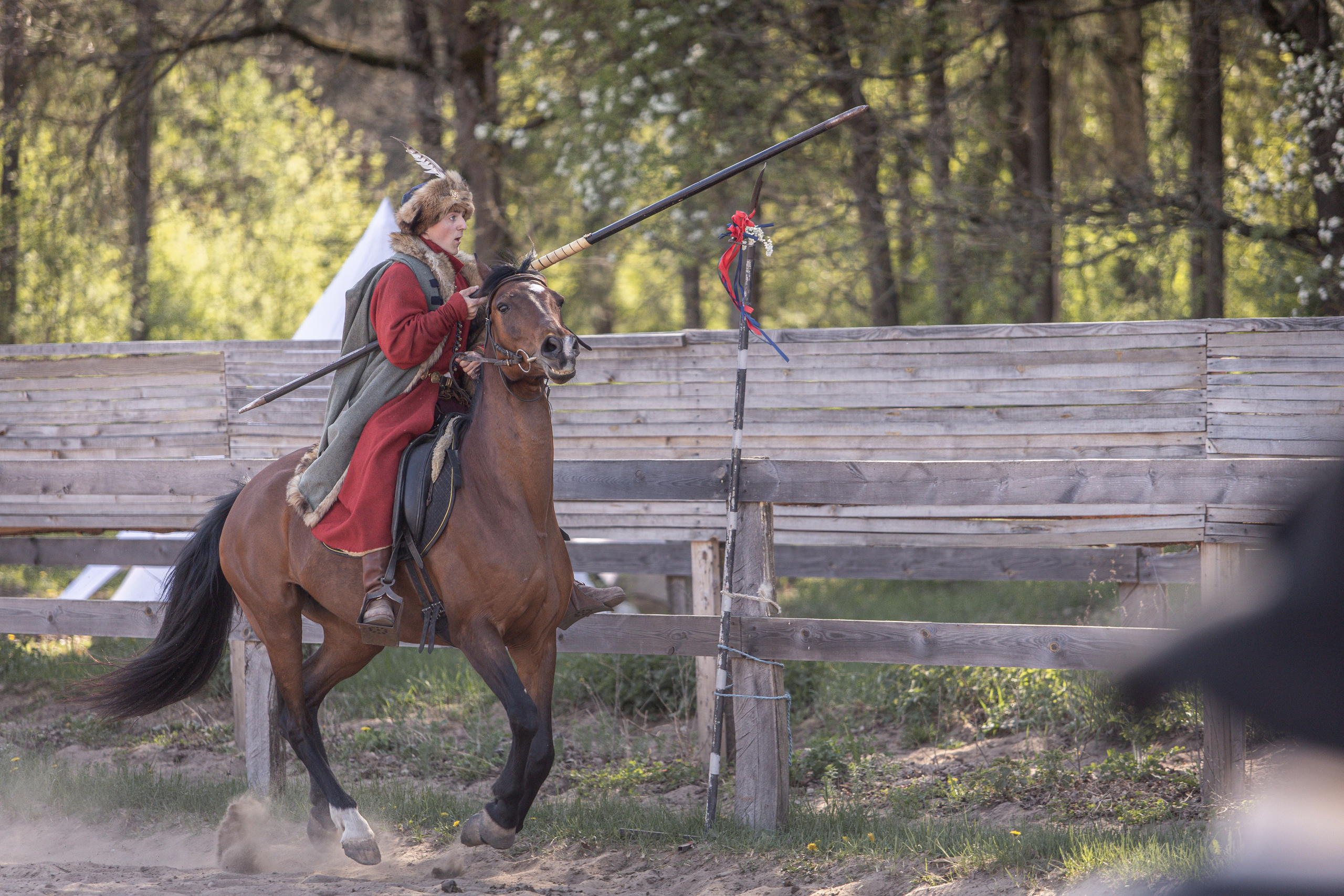 Золотая Шпора. Огнем и Мечем. День первый. Рыцарский турнир. Профессиональный интерьерный и репортажный фотограф Минск и РБ. Максим Орлов