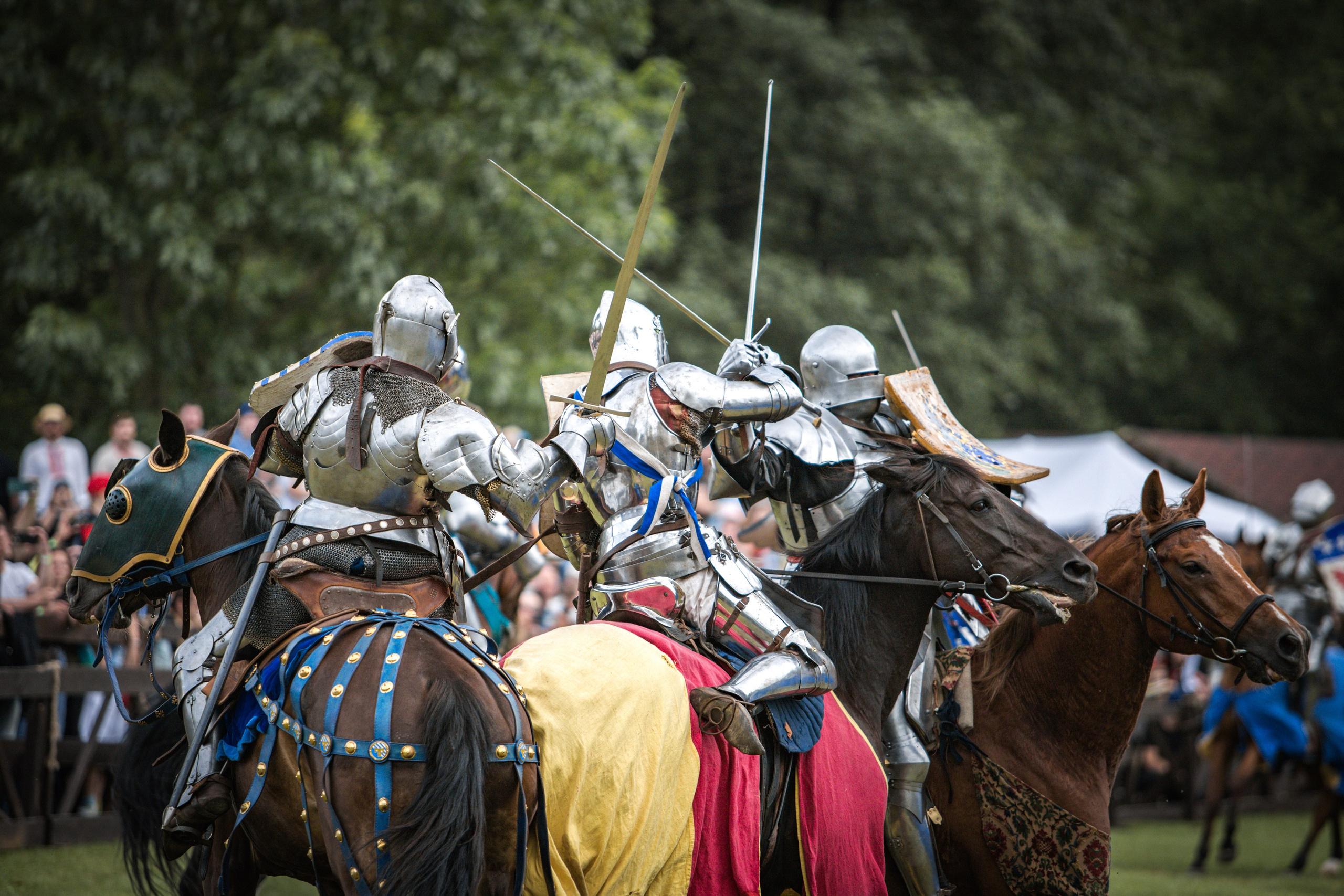 Наш Грюнвальд 2025. Рыцарский турнир. Профессиональный интерьерный и репортажный фотограф Минск и РБ. Максим Орлов