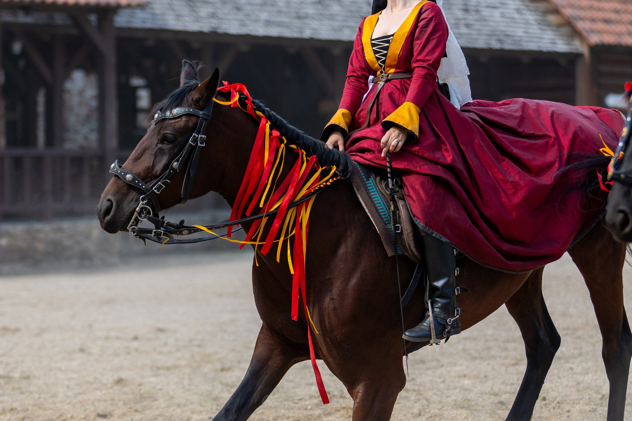 Выступление «Золотой шпоры» на празднике города Лиды. Профессиональный интерьерный и репортажный фотограф Минск и РБ. Максим Орлов