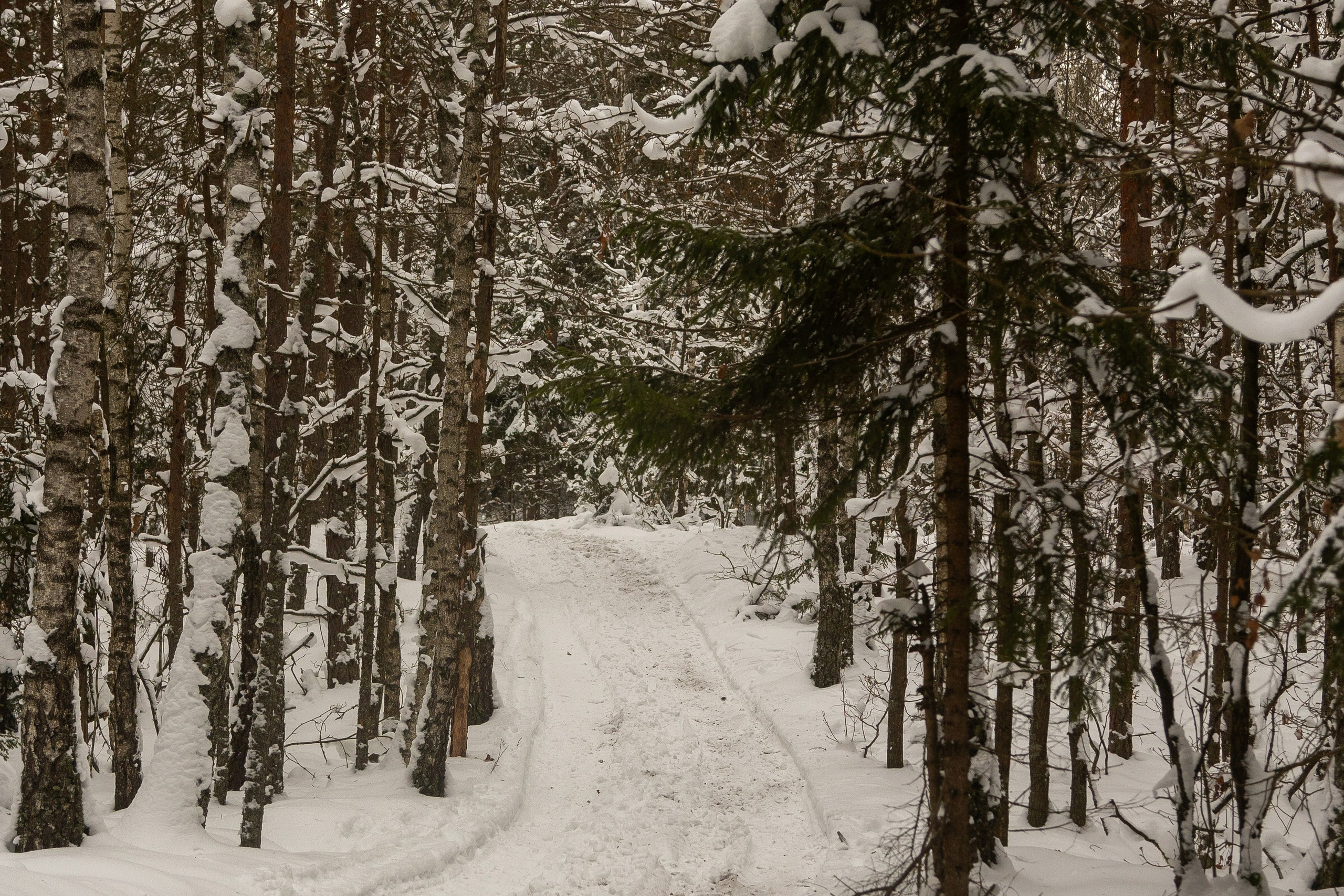 Зимние рыцарские маневры. Профессиональный интерьерный и репортажный фотограф Минск и РБ. Максим Орлов