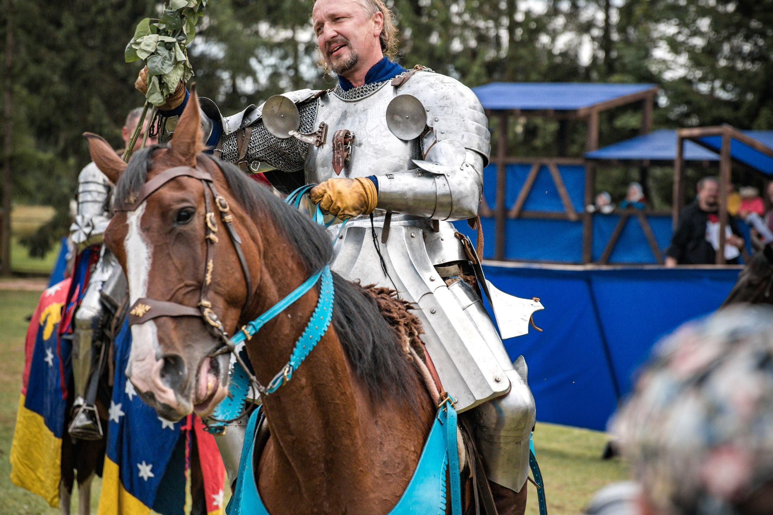 Наш Грюнвальд 2025. Рыцарский турнир. Профессиональный интерьерный и репортажный фотограф Минск и РБ. Максим Орлов