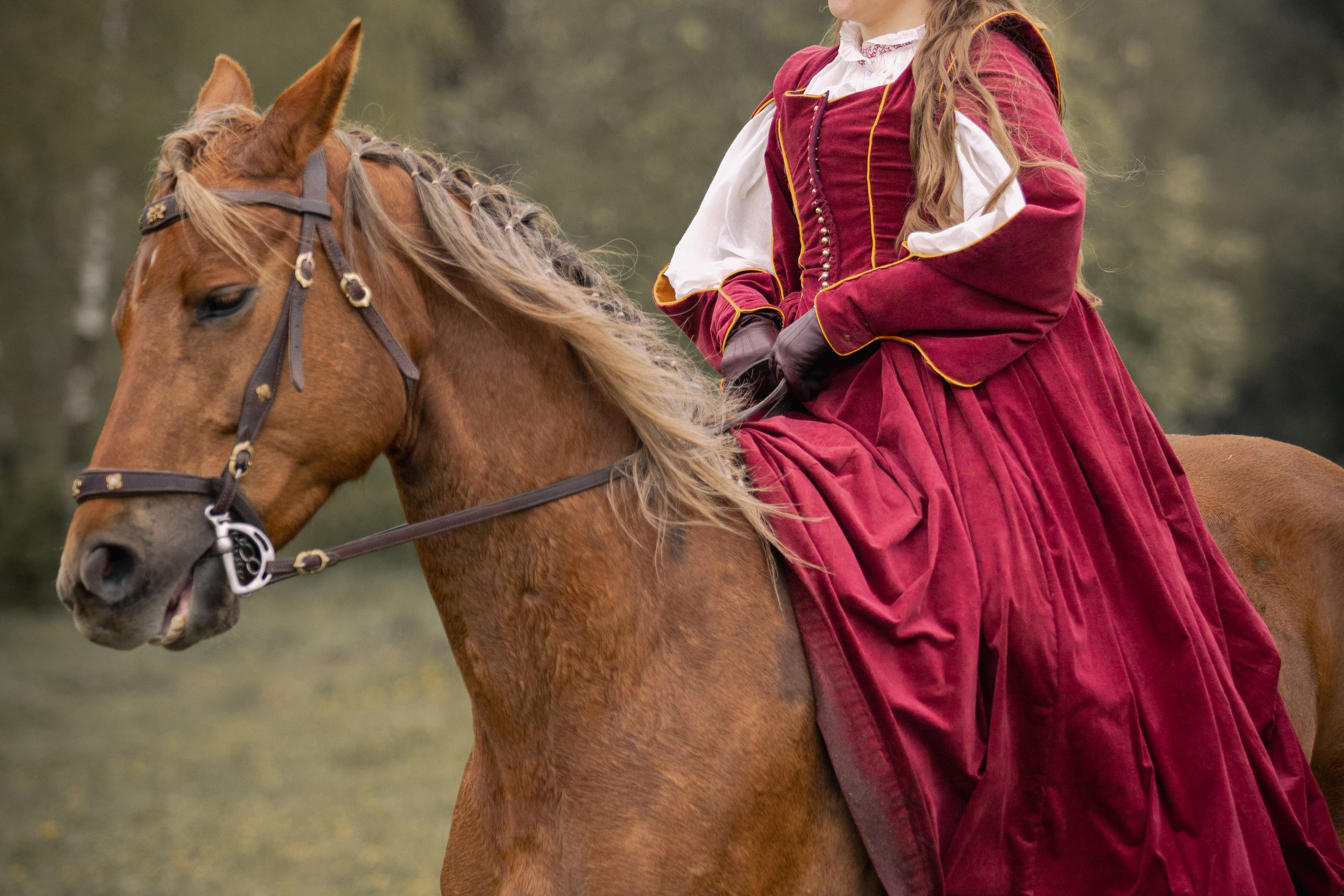 Золотая шпора. Огнем и мечем. День третий. Бой на поле. Профессиональный интерьерный и репортажный фотограф Минск и РБ. Максим Орлов