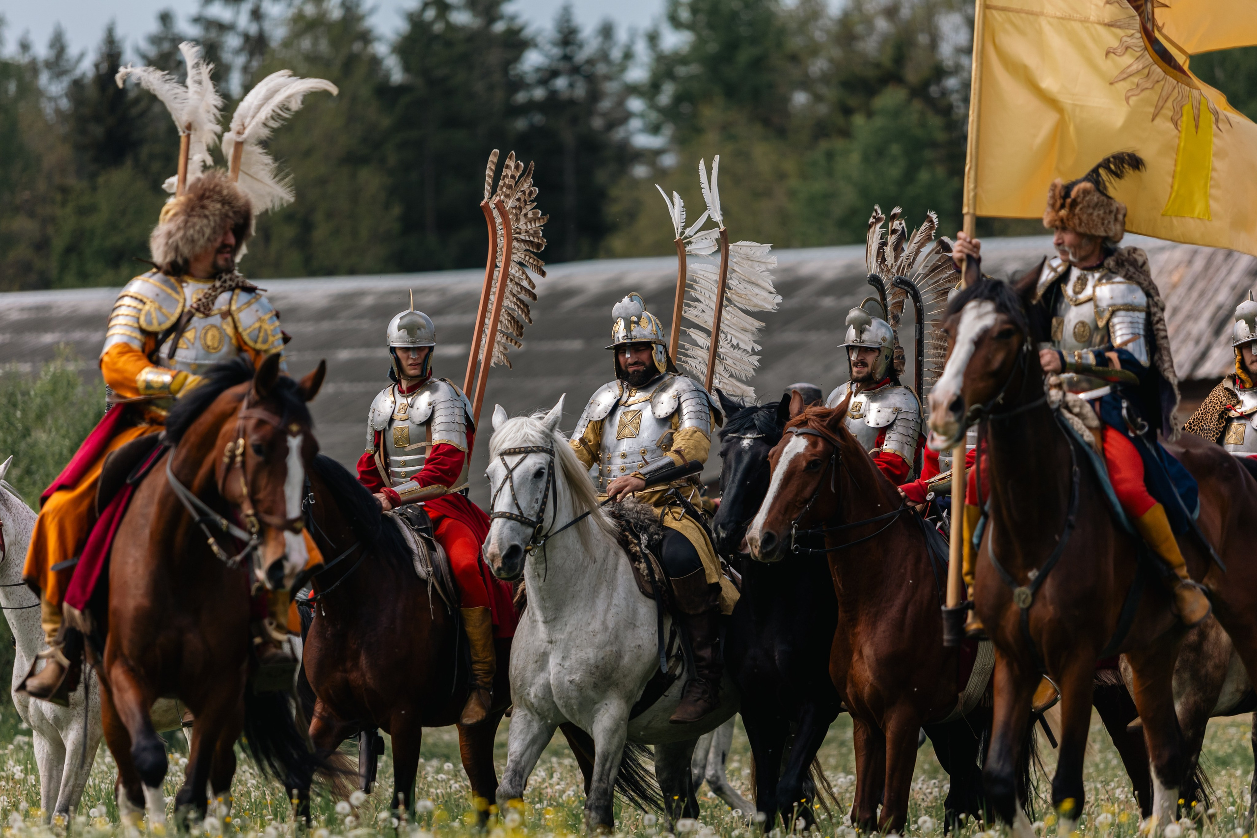 Золотая шпора. Маневры 17 века. Профессиональный интерьерный и репортажный фотограф Минск и РБ. Максим Орлов