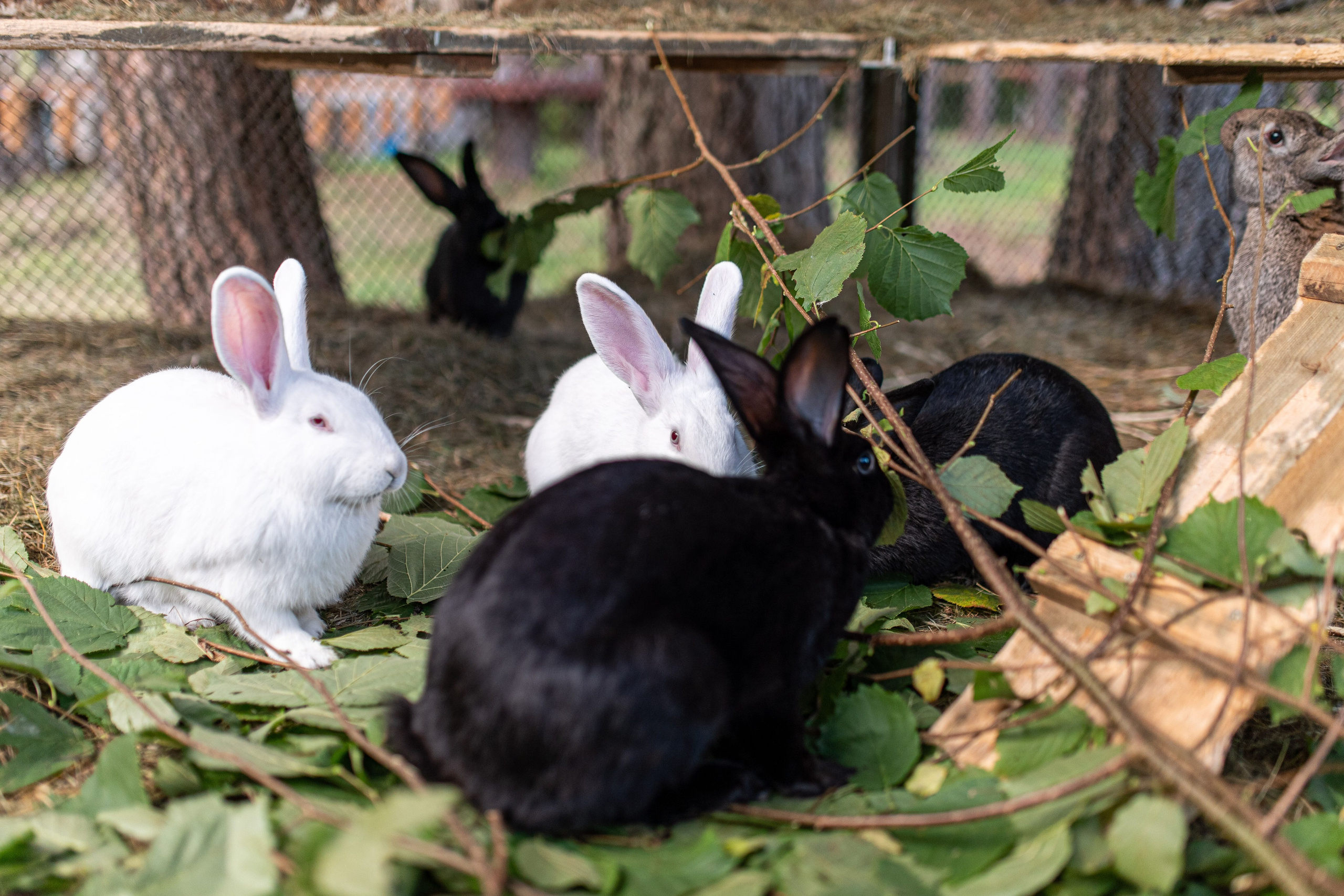 База отдыха «Бобр». Профессиональный интерьерный и репортажный фотограф Минск и РБ. Максим Орлов