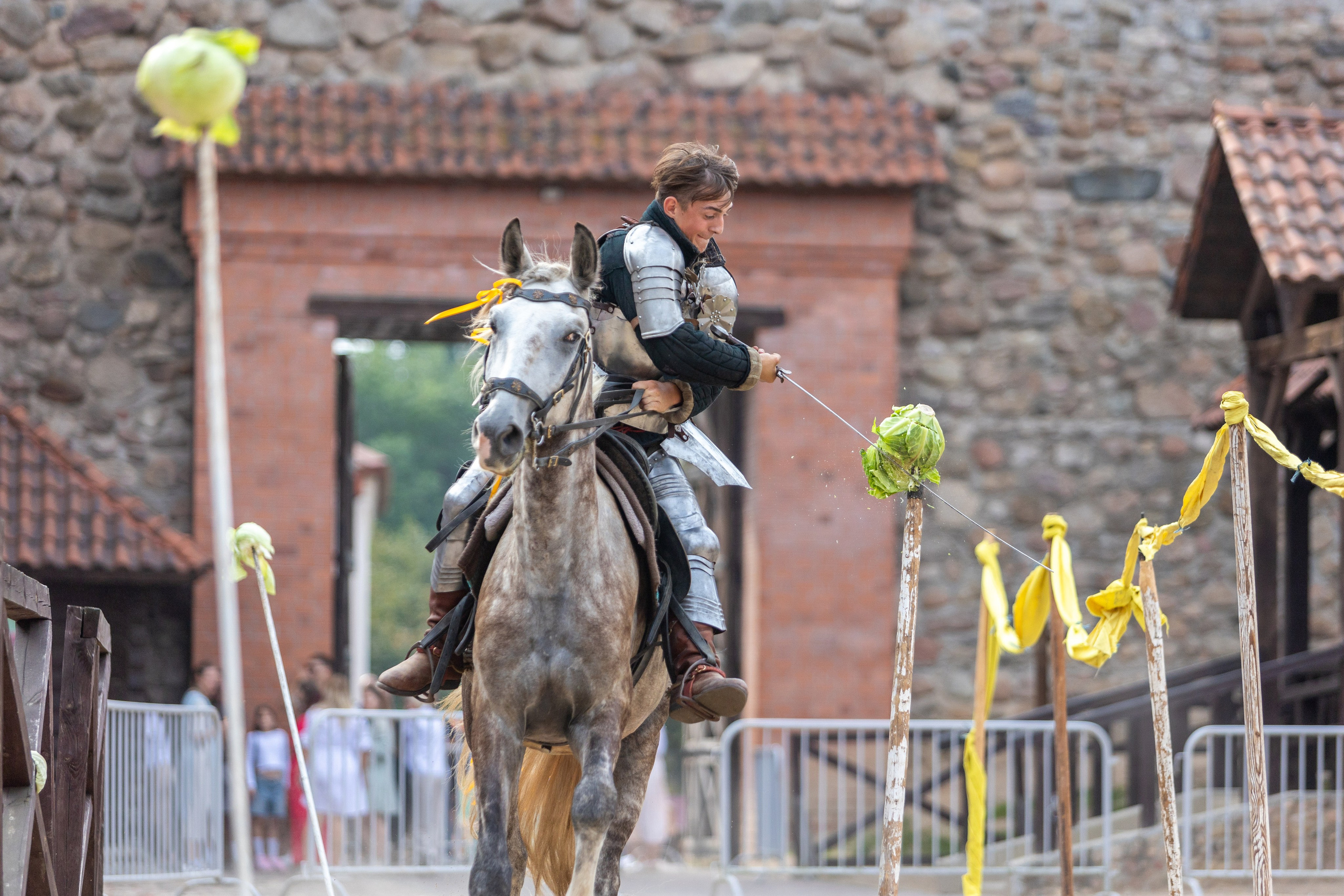 Выступление «Золотой шпоры» на празднике города Лиды. Профессиональный интерьерный и репортажный фотограф Минск и РБ. Максим Орлов