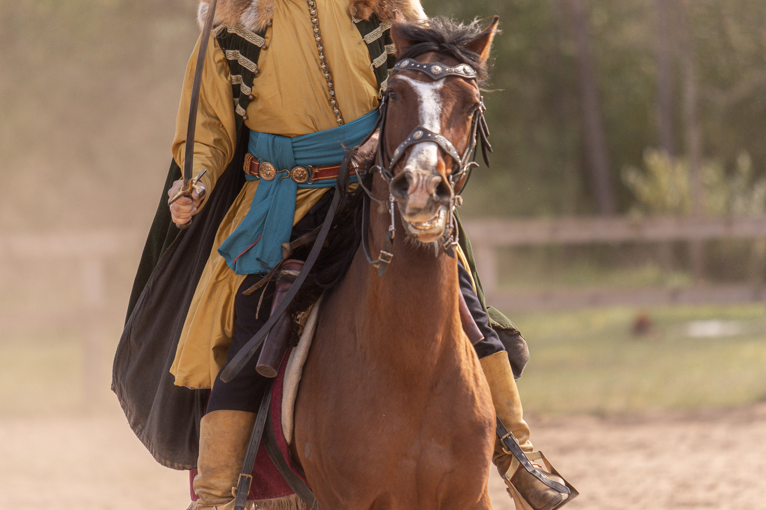 Золотая Шпора. Огнем и Мечем. День первый. Рыцарский турнир. Профессиональный интерьерный и репортажный фотограф Минск и РБ. Максим Орлов