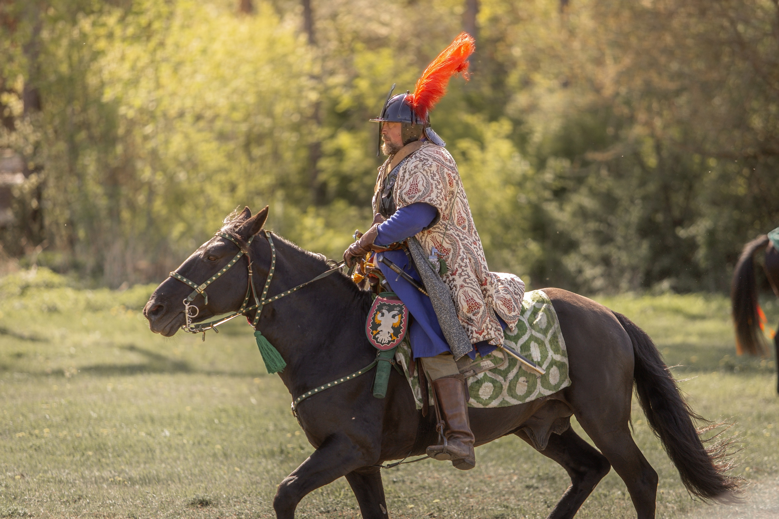 Золотая Шпора. Огнем и Мечем. День первый. Рыцарский турнир. Профессиональный интерьерный и репортажный фотограф Минск и РБ. Максим Орлов