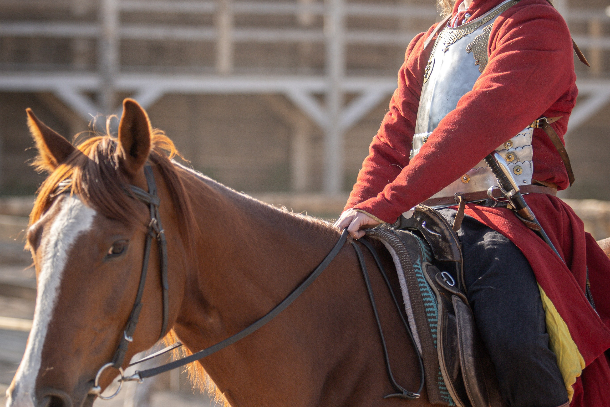 Золотая Шпора. Огнем и Мечем. День первый. Рыцарский турнир. Профессиональный интерьерный и репортажный фотограф Минск и РБ. Максим Орлов