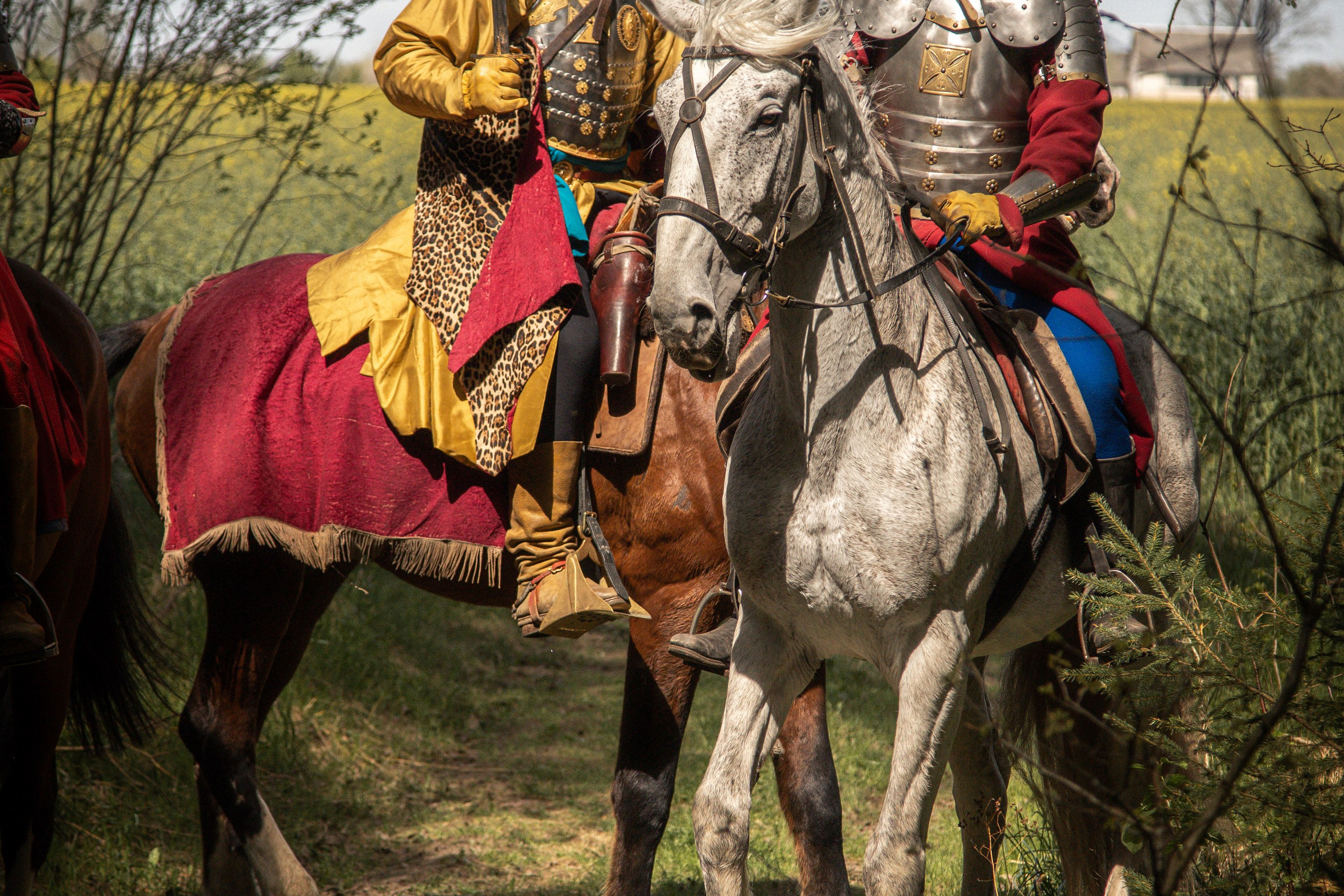 Золотая шпора. Огнем и мечем. День второй. Вылазка в лес. Штурм фортеции. Княжеский пир. Профессиональный интерьерный и репортажный фотограф Минск и РБ. Максим Орлов