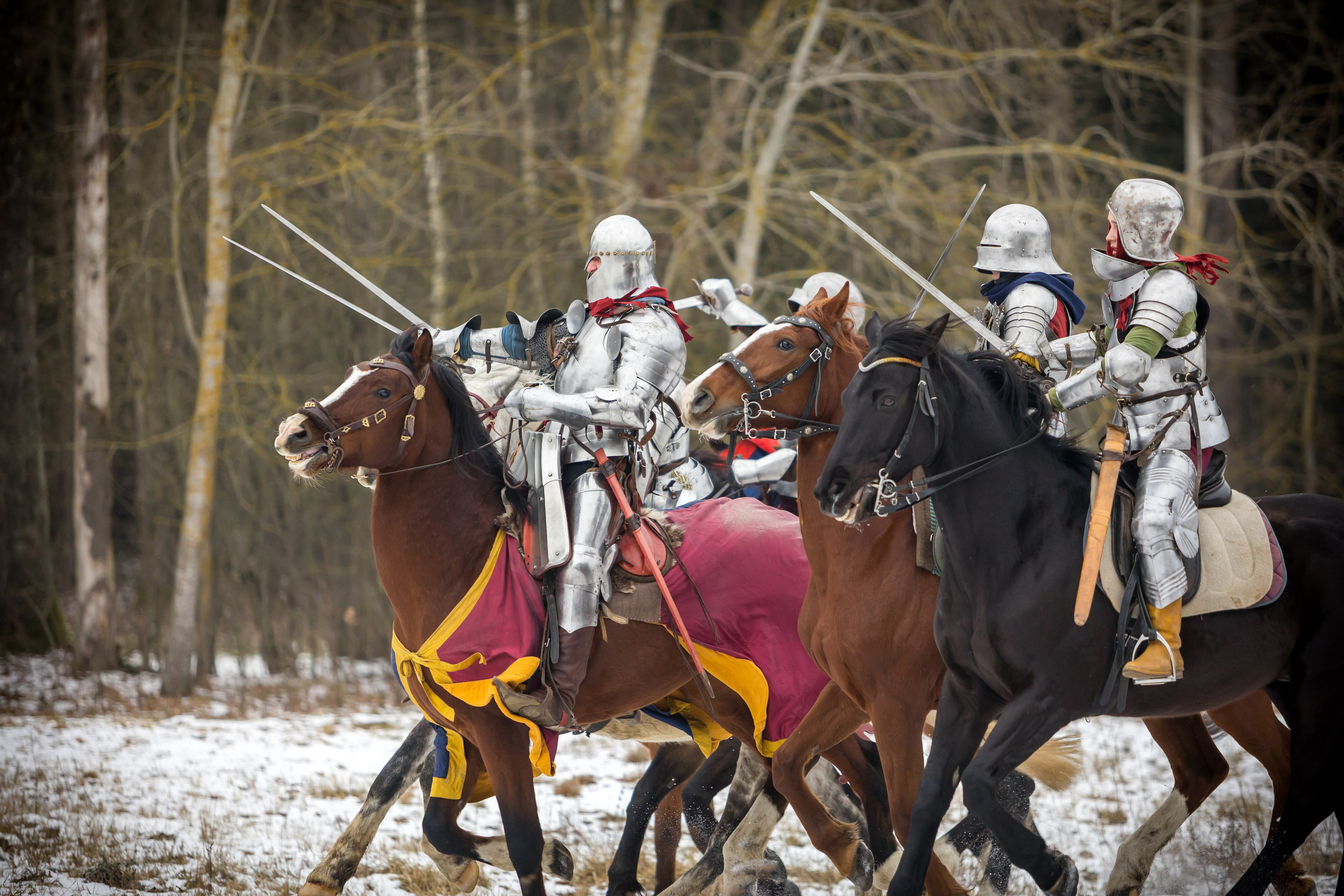 Зимние маневры «Золотой шпоры». 2025. Профессиональный интерьерный и репортажный фотограф Минск и РБ. Максим Орлов