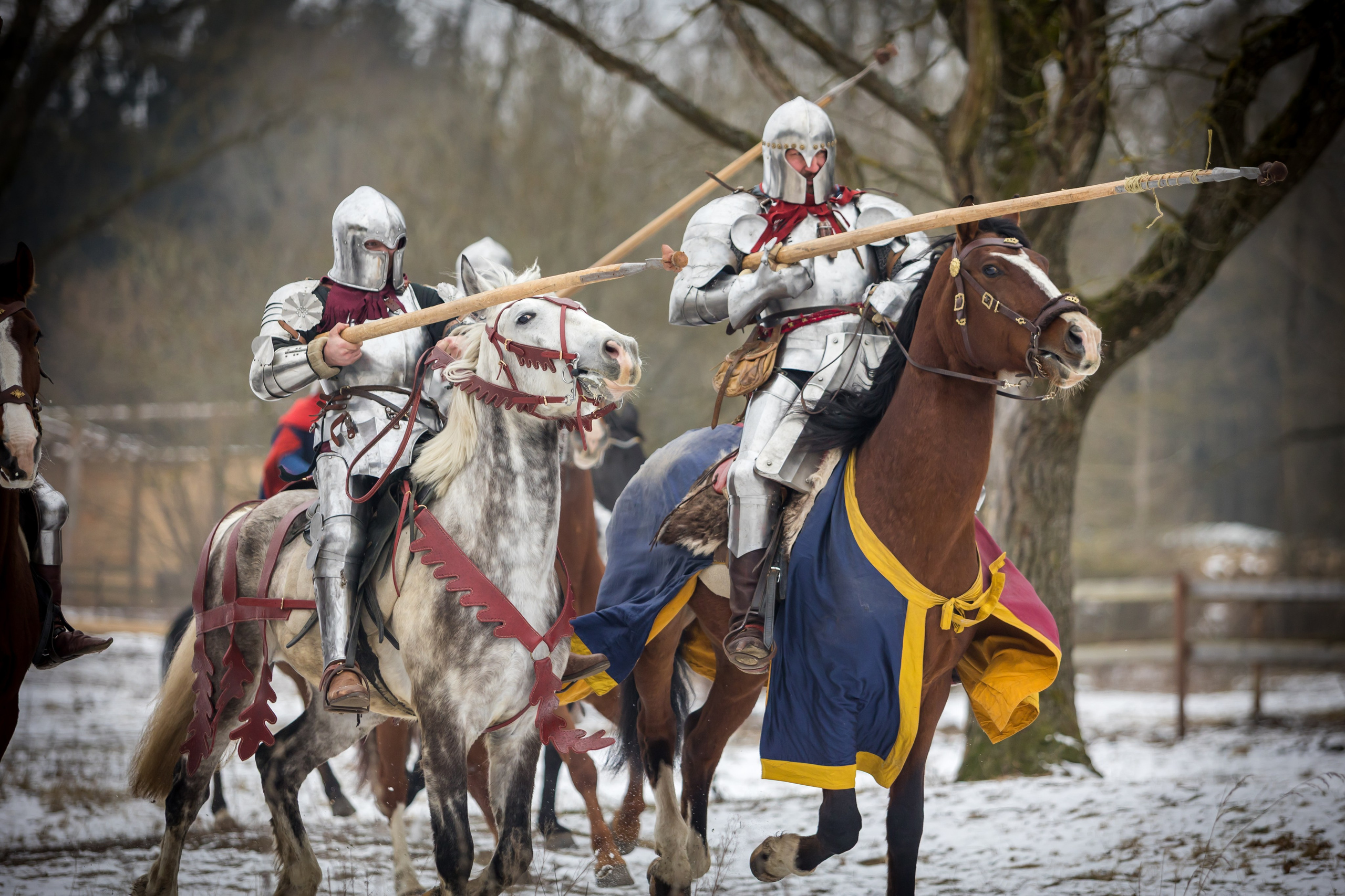 Зимние маневры «Золотой шпоры». 2025. Профессиональный интерьерный и репортажный фотограф Минск и РБ. Максим Орлов
