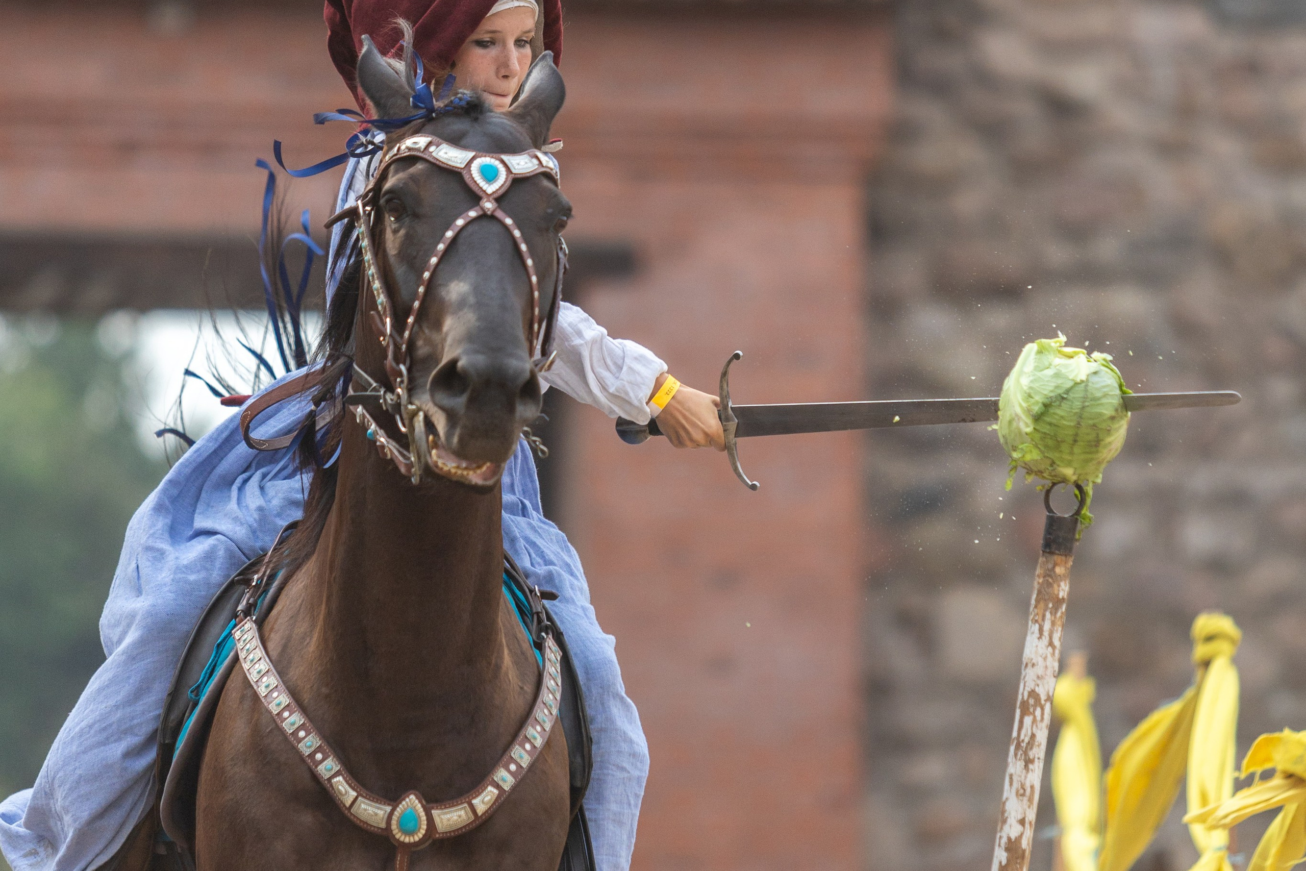 Выступление «Золотой шпоры» на празднике города Лиды. Профессиональный интерьерный и репортажный фотограф Минск и РБ. Максим Орлов
