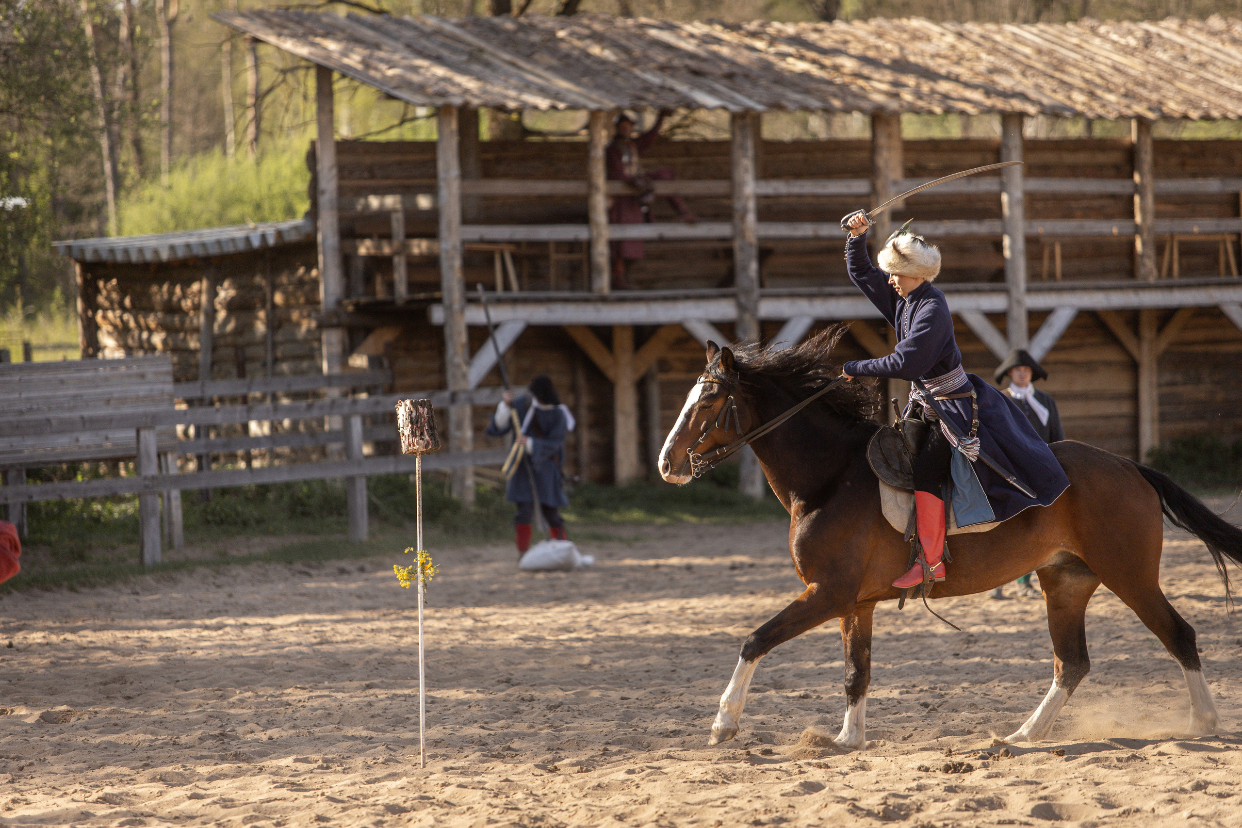 Золотая Шпора. Огнем и Мечем. День первый. Рыцарский турнир. Профессиональный интерьерный и репортажный фотограф Минск и РБ. Максим Орлов