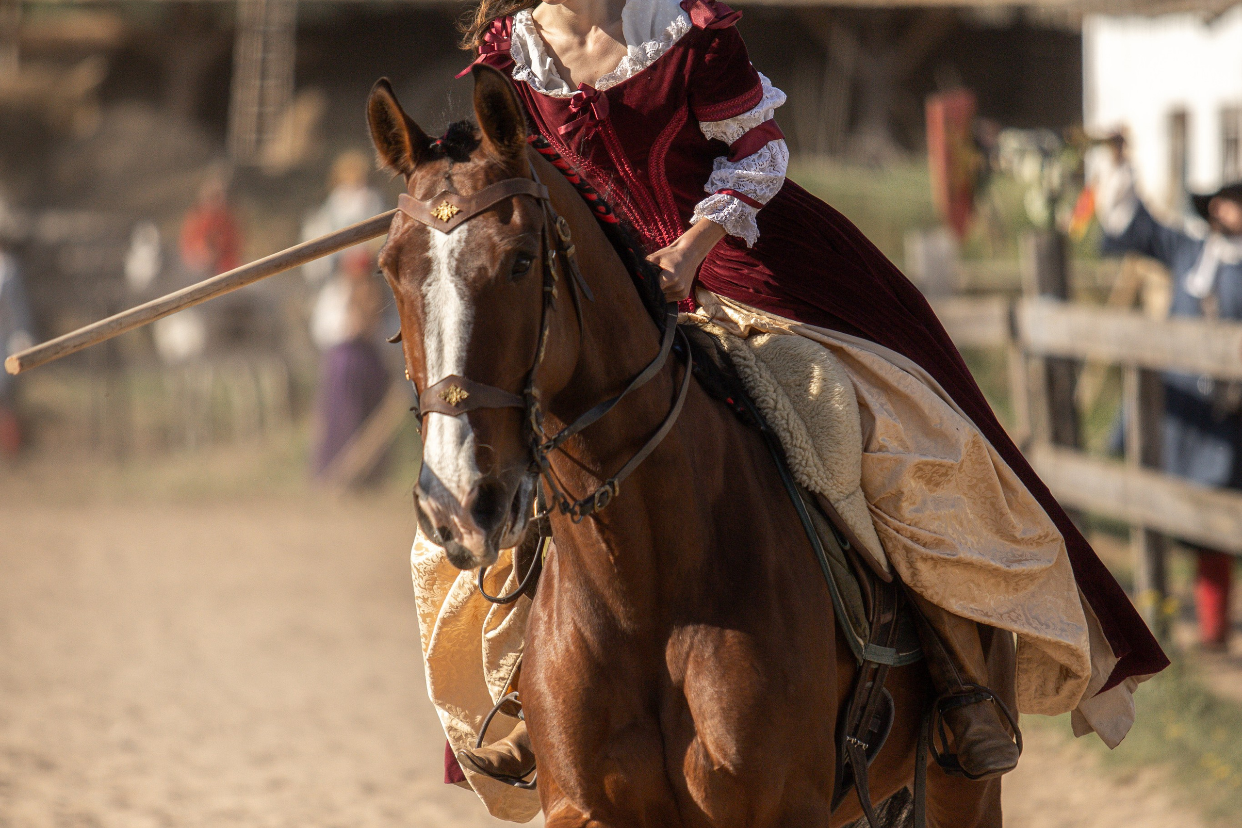 Золотая Шпора. Огнем и Мечем. День первый. Рыцарский турнир. Профессиональный интерьерный и репортажный фотограф Минск и РБ. Максим Орлов