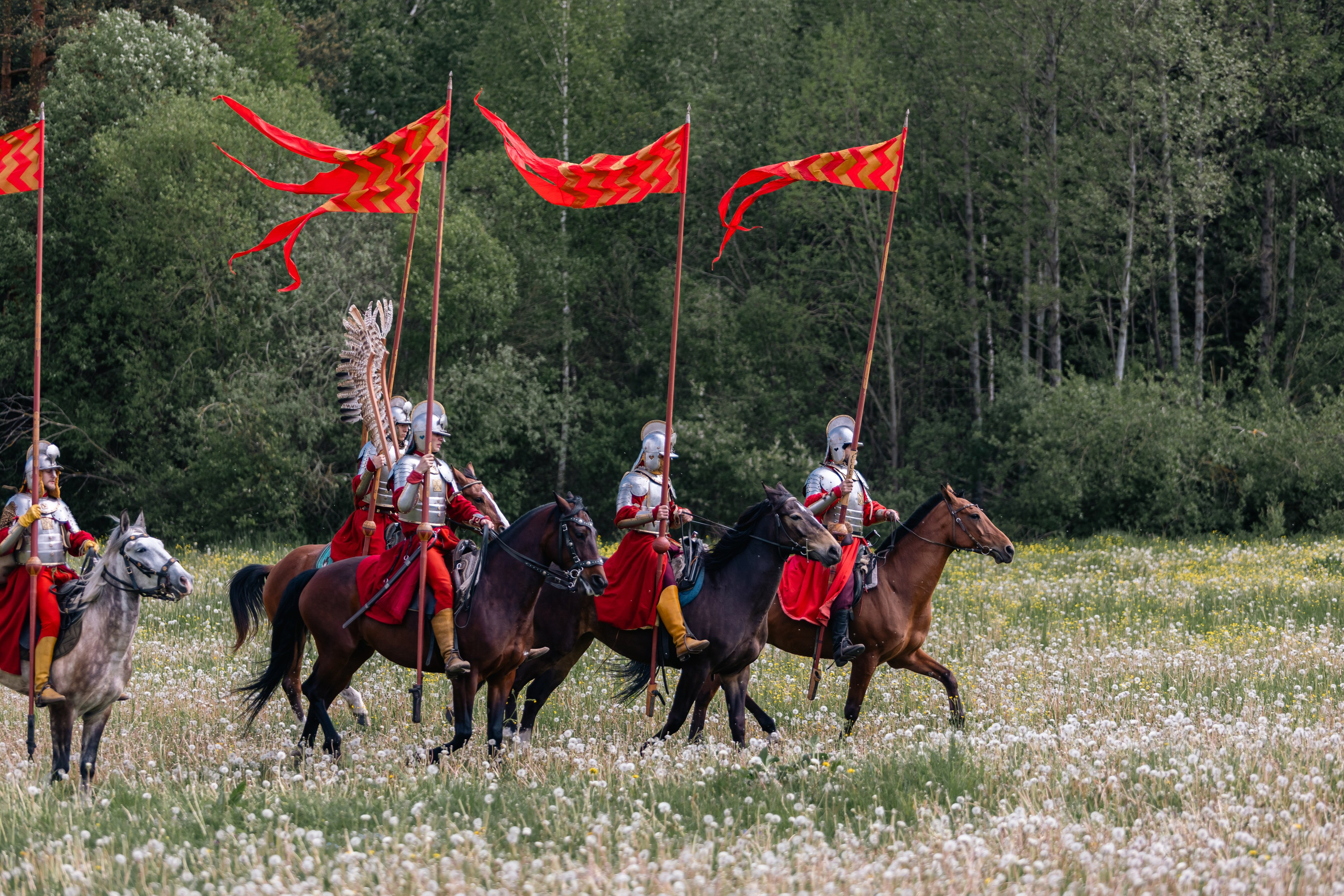 Золотая шпора. Маневры 17 века. Профессиональный интерьерный и репортажный фотограф Минск и РБ. Максим Орлов