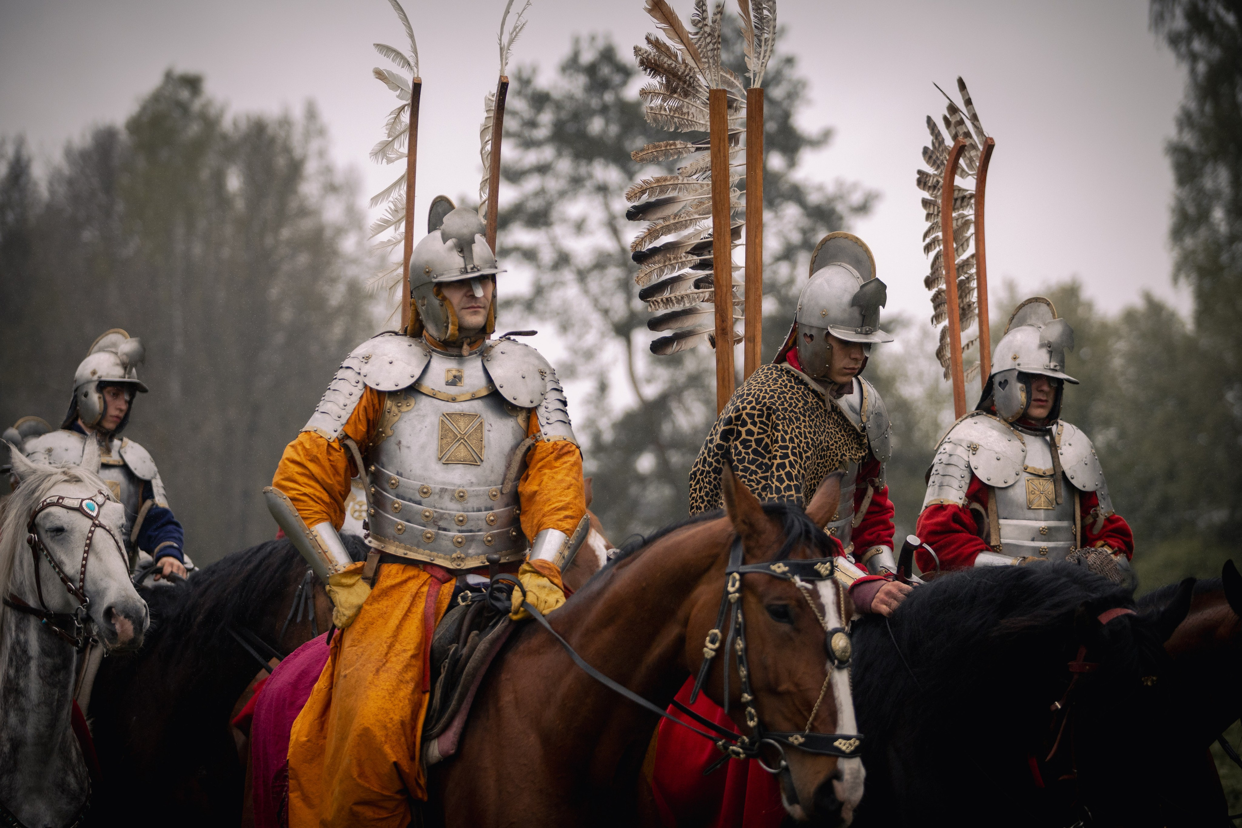 Золотая шпора. Огнем и мечем. День третий. Бой на поле. Профессиональный интерьерный и репортажный фотограф Минск и РБ. Максим Орлов