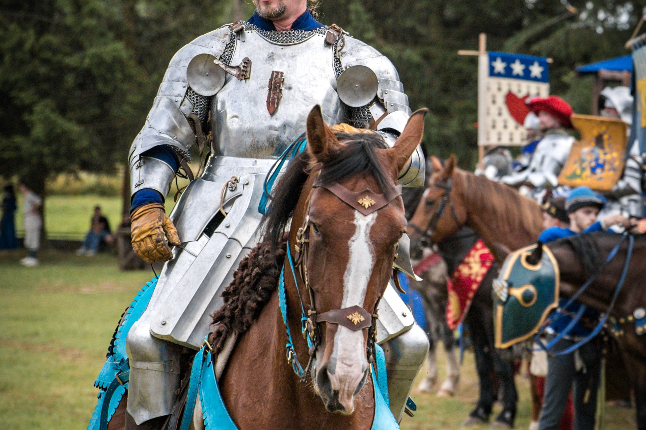Наш Грюнвальд 2025. Рыцарский турнир. Профессиональный интерьерный и репортажный фотограф Минск и РБ. Максим Орлов