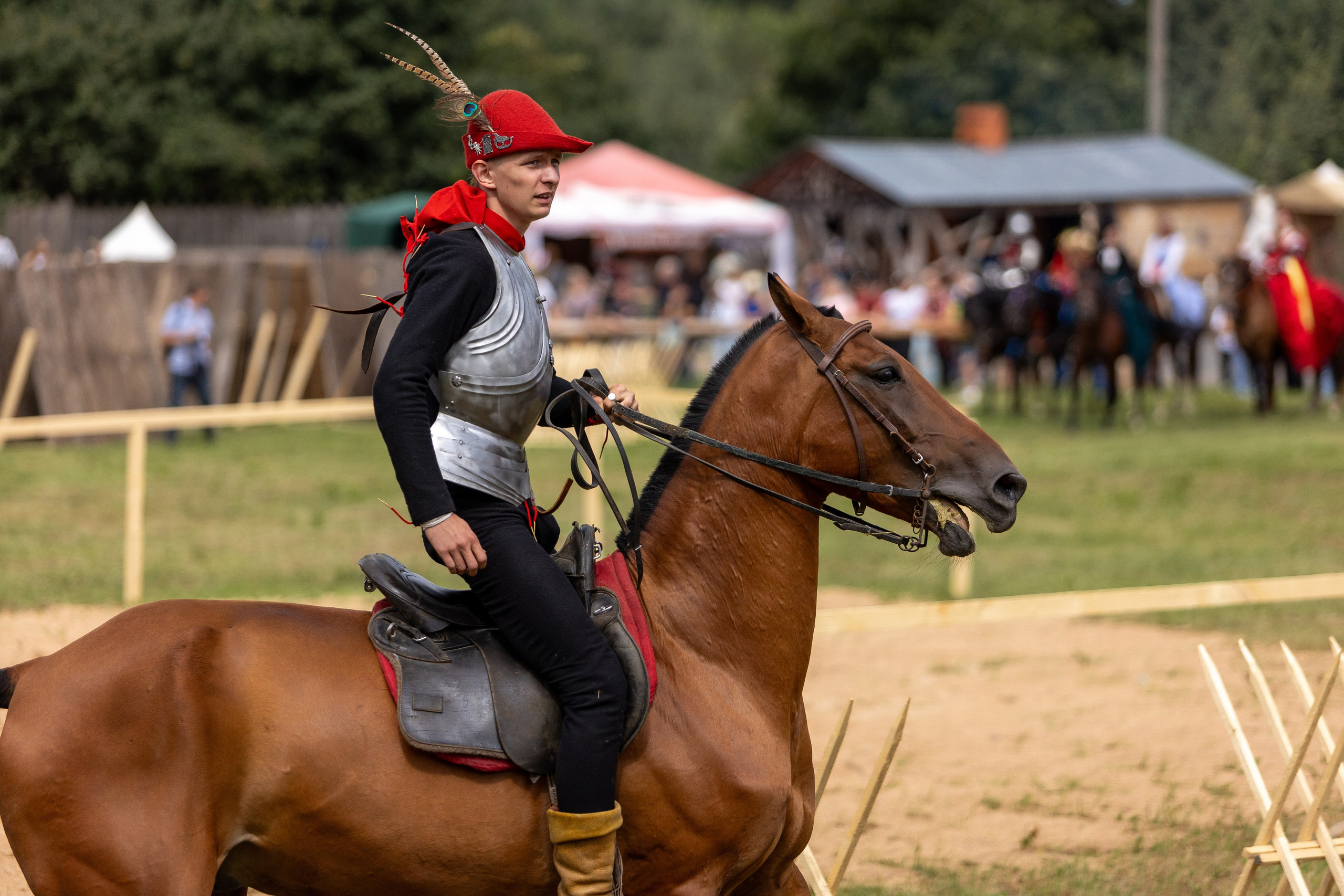Рыцарский фест. Мстиславль. Профессиональный интерьерный и репортажный фотограф Минск и РБ. Максим Орлов