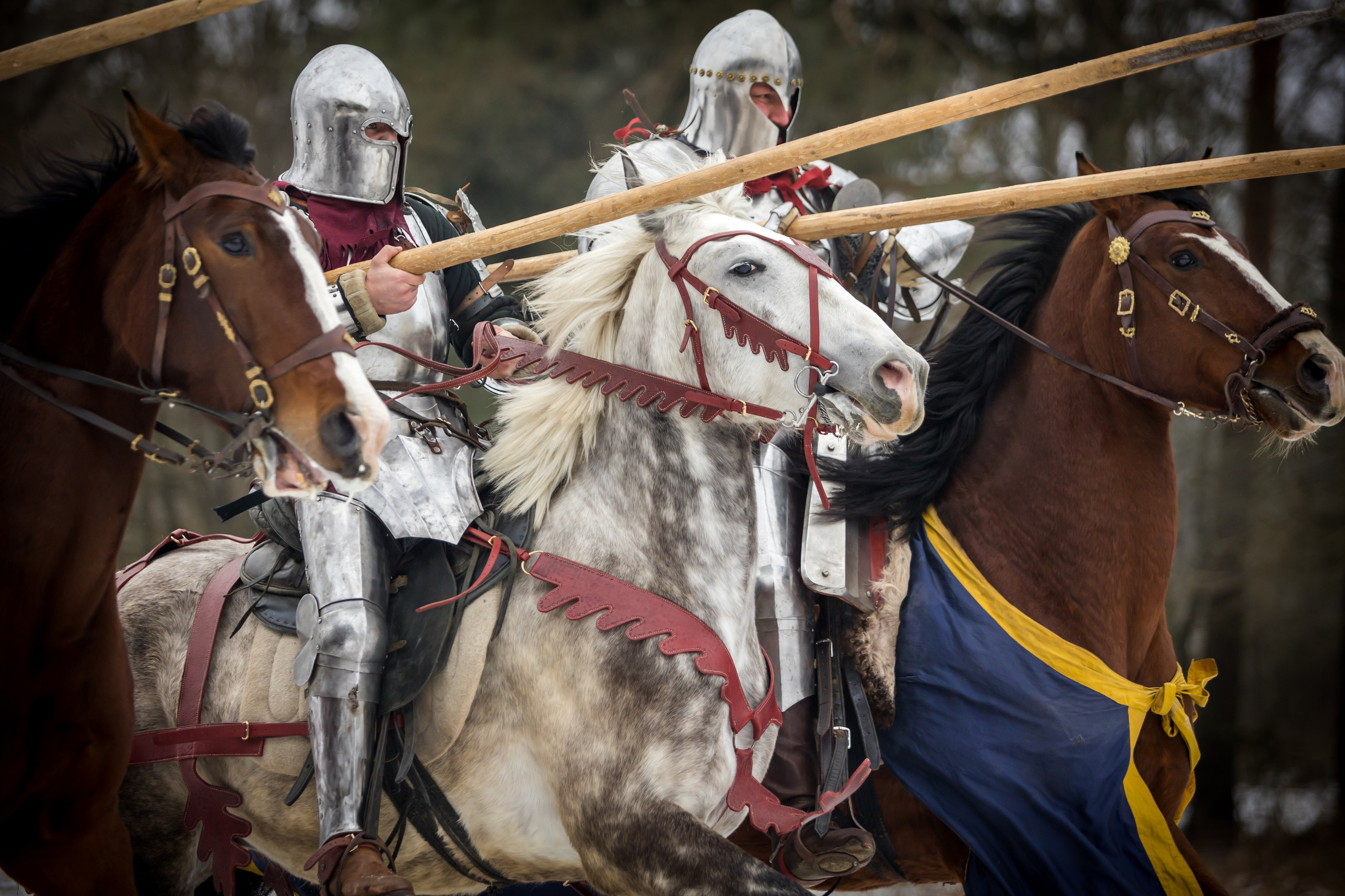 Зимние маневры «Золотой шпоры». 2025. Профессиональный интерьерный и репортажный фотограф Минск и РБ. Максим Орлов