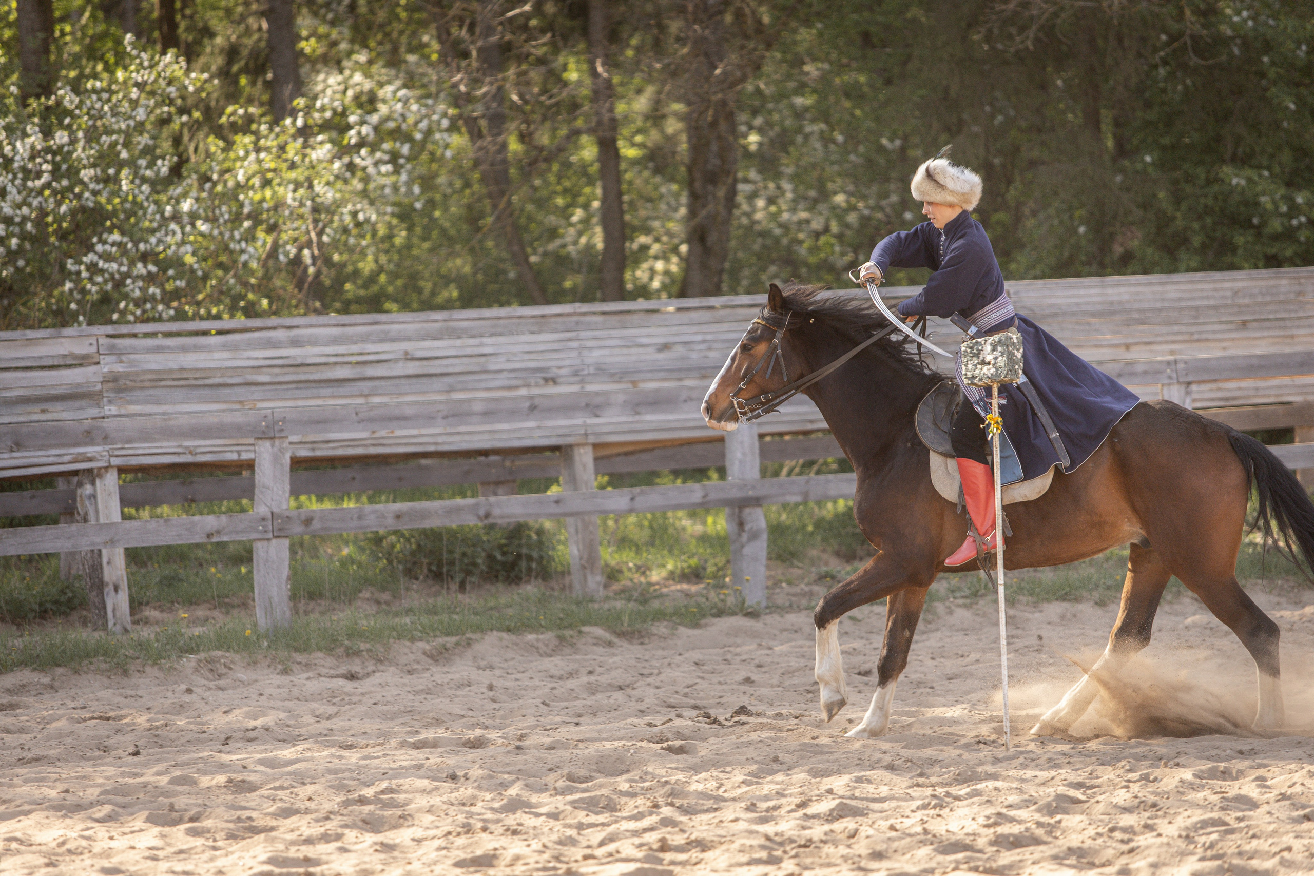 Золотая Шпора. Огнем и Мечем. День первый. Рыцарский турнир. Профессиональный интерьерный и репортажный фотограф Минск и РБ. Максим Орлов