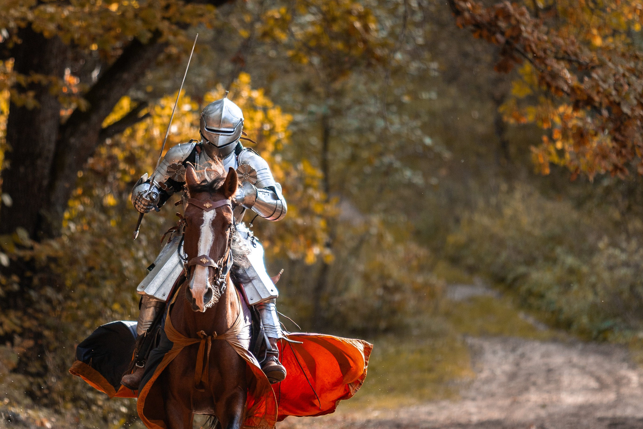 Рыцарская с Афиной. Дима Теслик. Профессиональный интерьерный и репортажный фотограф Минск и РБ. Максим Орлов