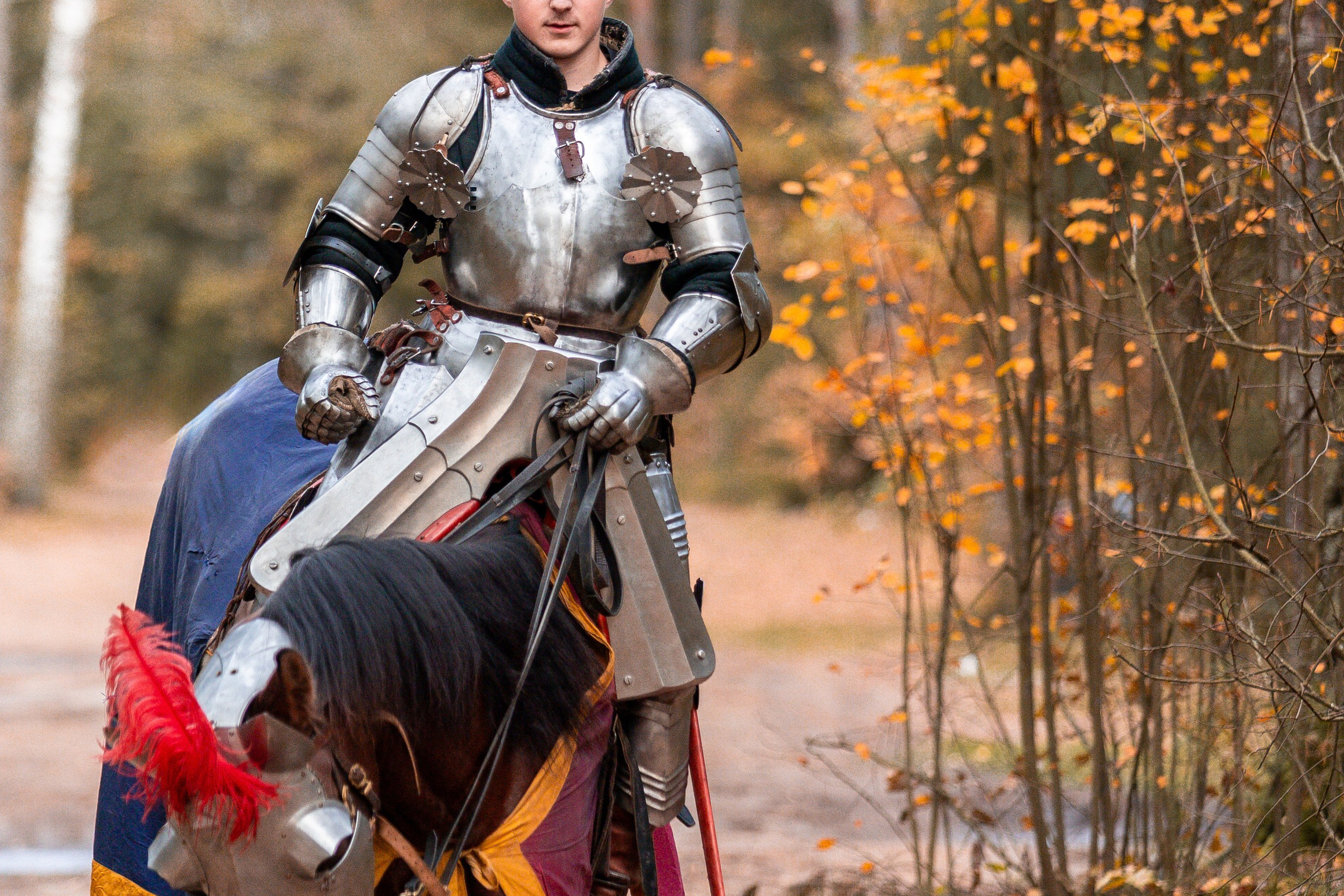 Рыцарская с Афиной. Дима Теслик. Профессиональный интерьерный и репортажный фотограф Минск и РБ. Максим Орлов