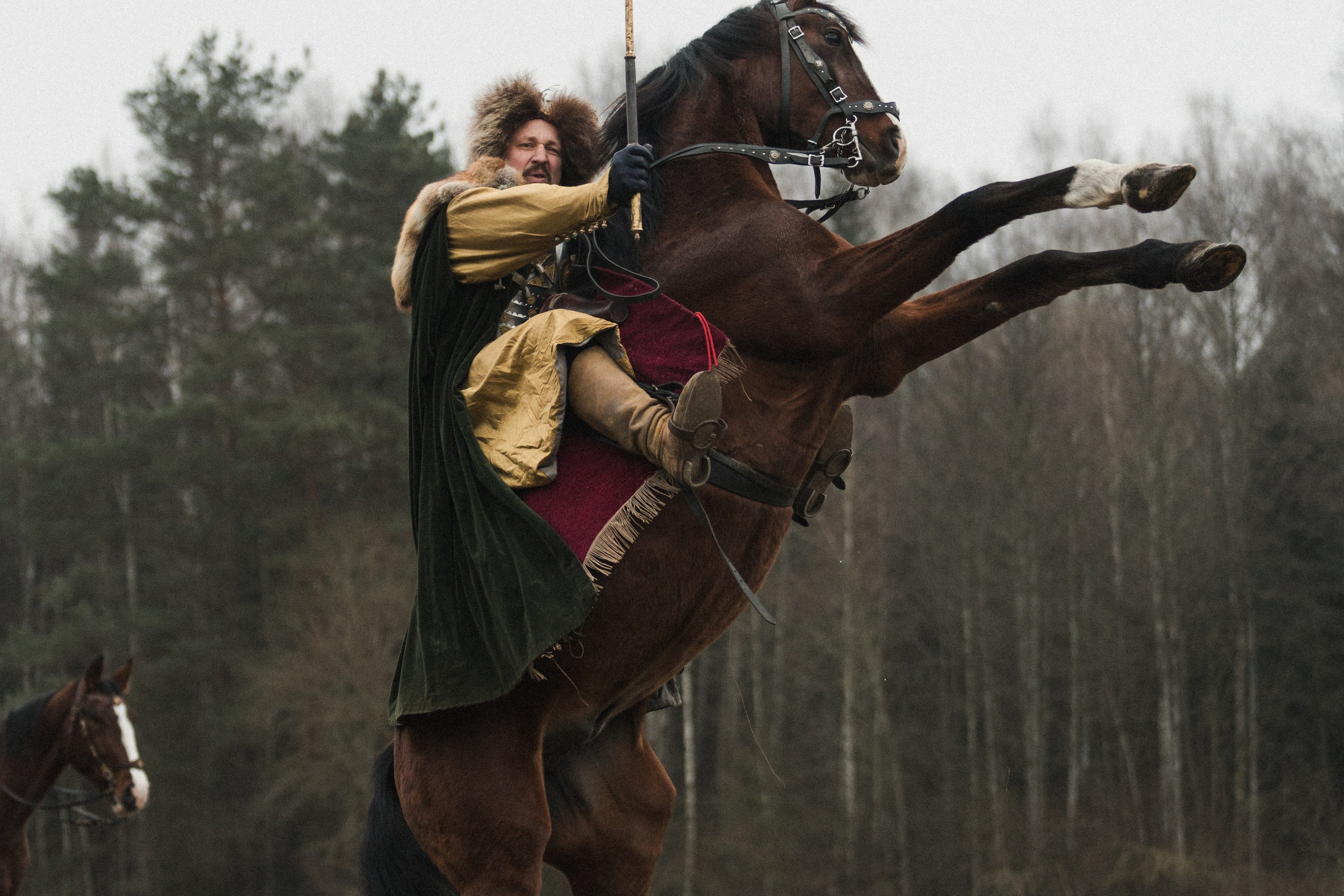 Маневры 17 века. Золотая шпора. Профессиональный интерьерный и репортажный фотограф Минск и РБ. Максим Орлов