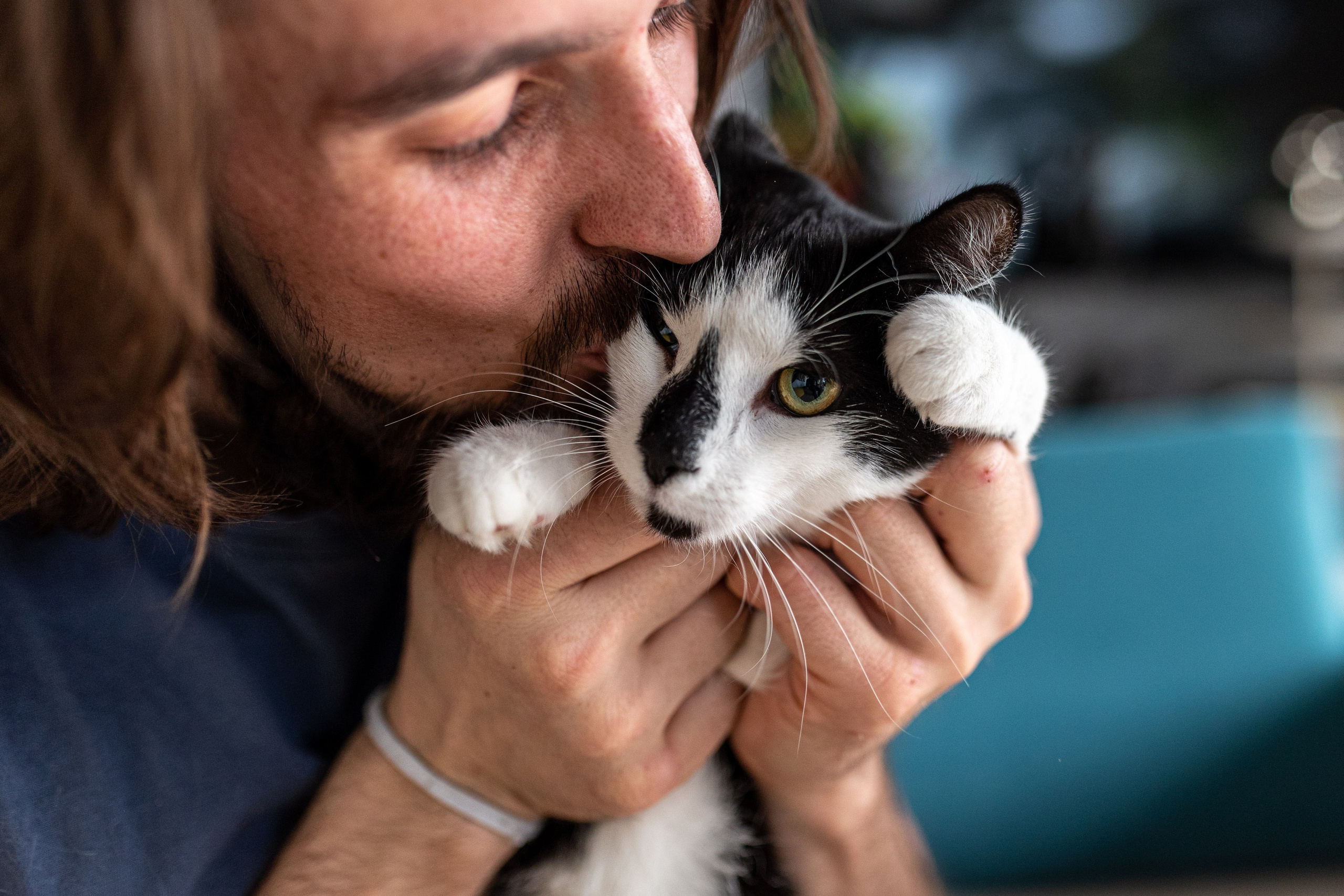 Котики для Old Cat. Профессиональный интерьерный и репортажный фотограф Минск и РБ. Максим Орлов