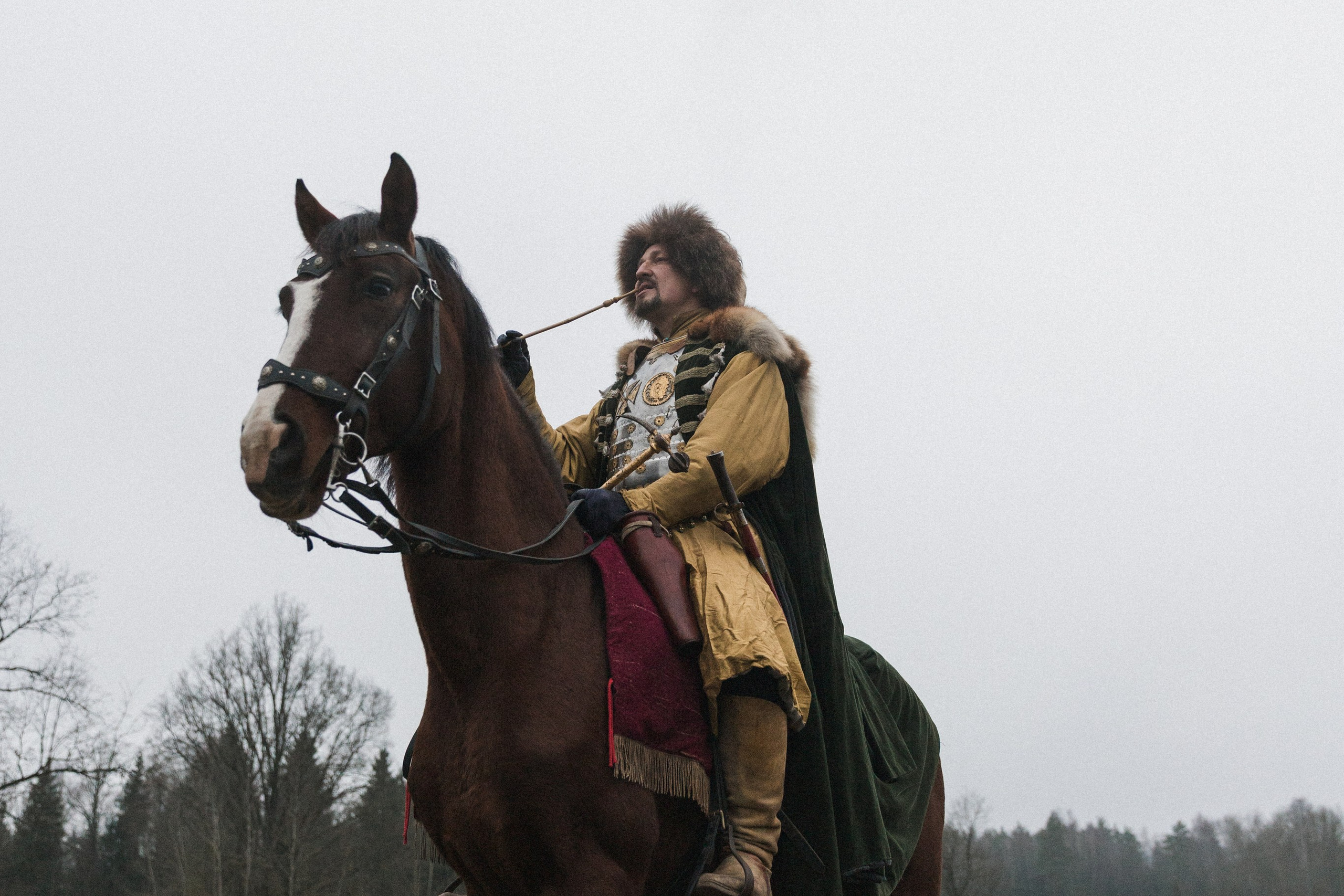 Маневры 17 века. Золотая шпора. Профессиональный интерьерный и репортажный фотограф Минск и РБ. Максим Орлов