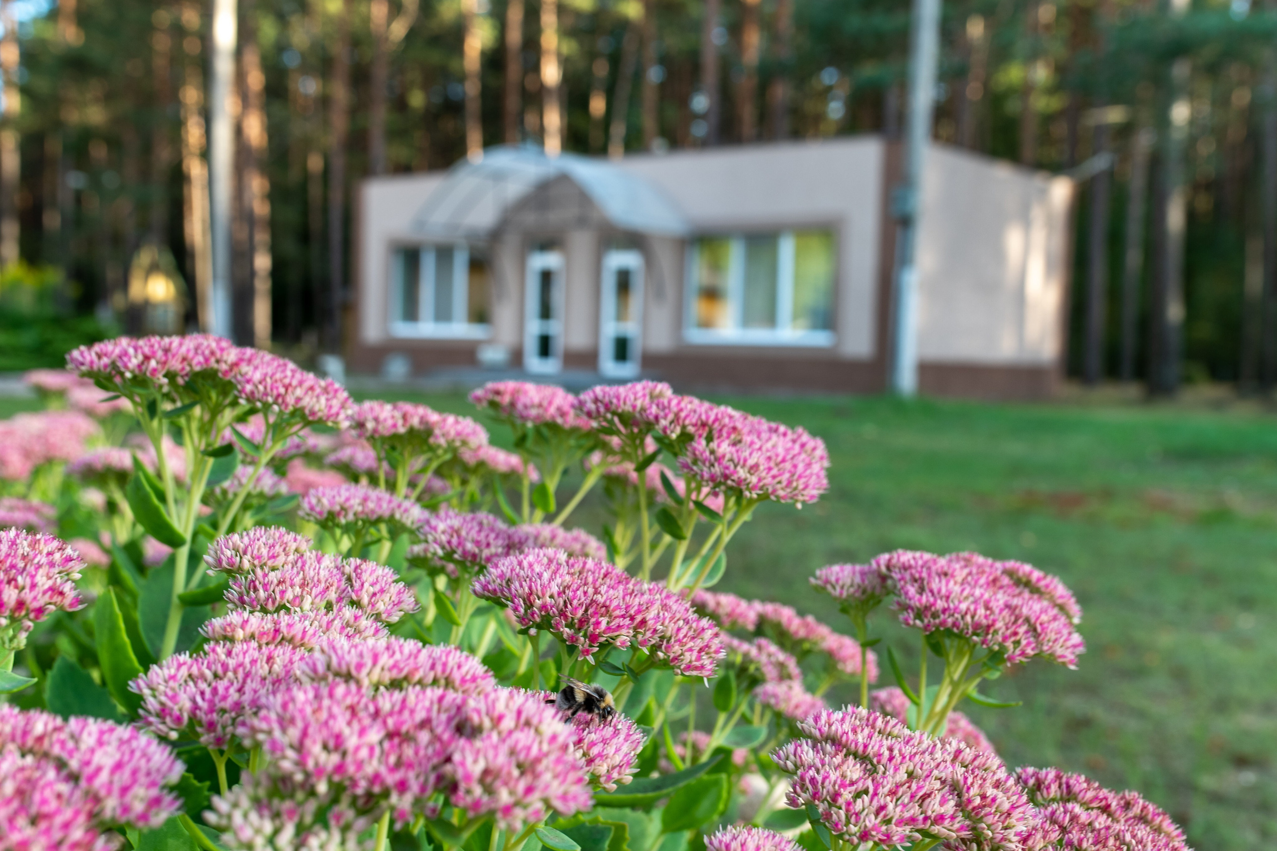 База отдыха «Бобр». Профессиональный интерьерный и репортажный фотограф Минск и РБ. Максим Орлов