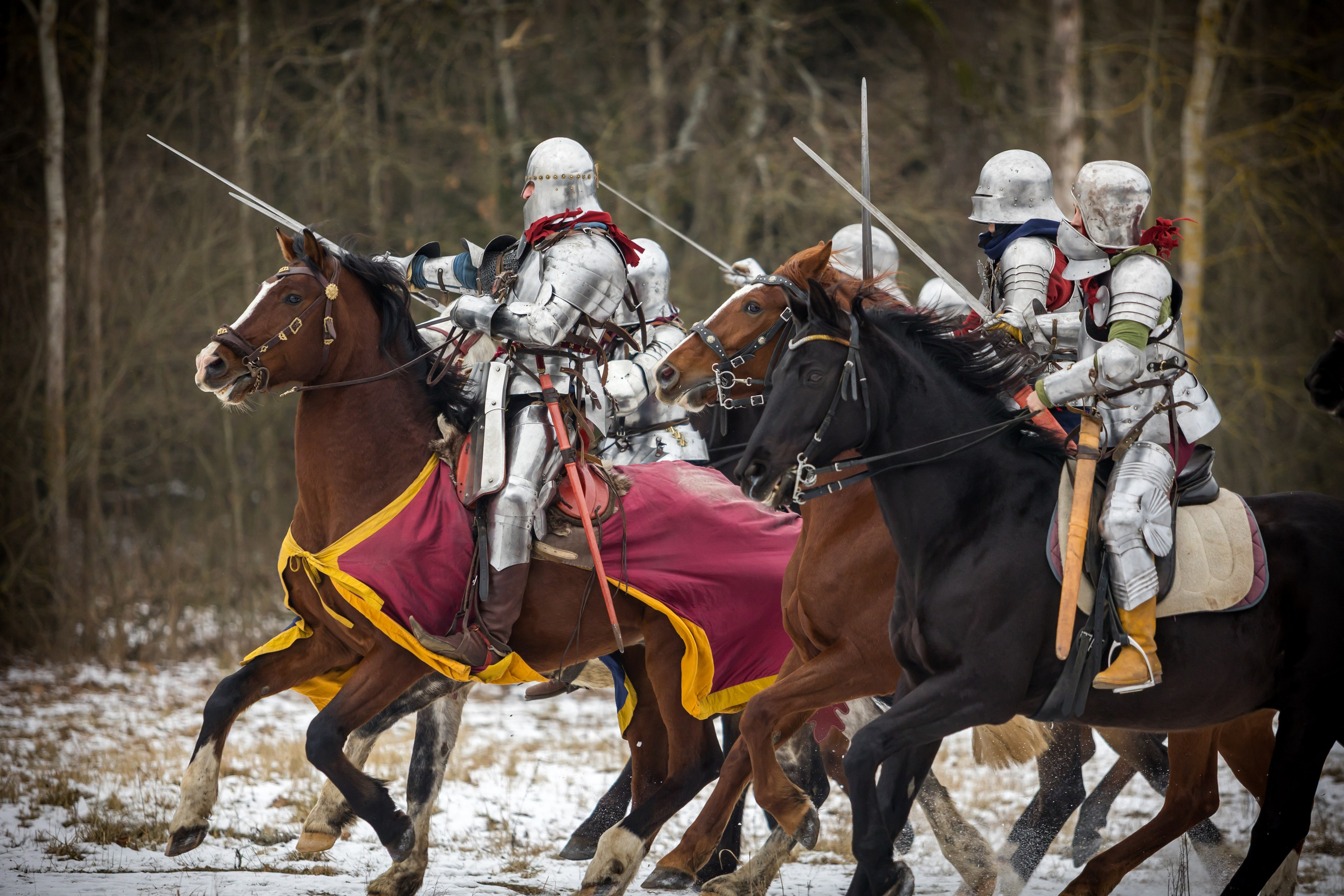 Зимние маневры «Золотой шпоры». 2025. Профессиональный интерьерный и репортажный фотограф Минск и РБ. Максим Орлов