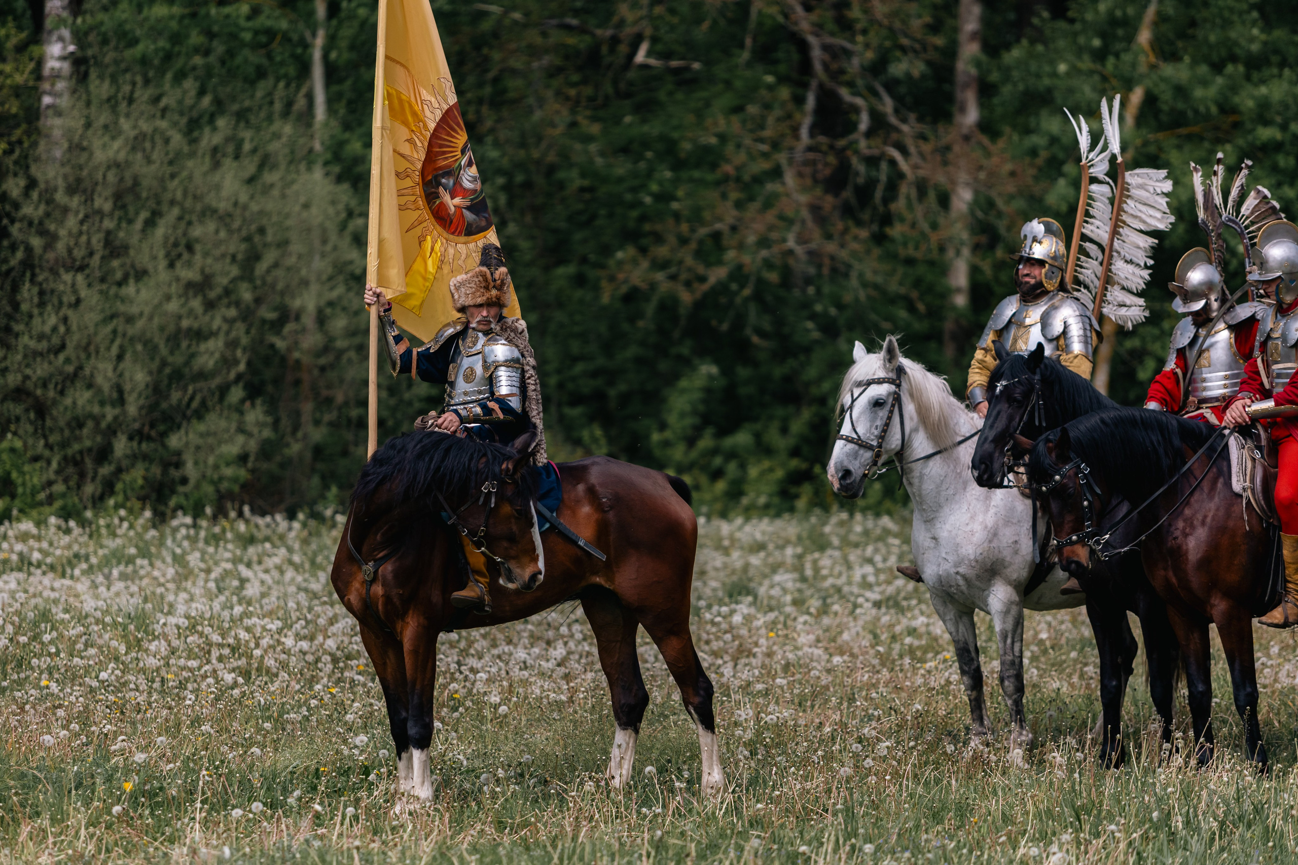 Золотая шпора. Маневры 17 века. Профессиональный интерьерный и репортажный фотограф Минск и РБ. Максим Орлов