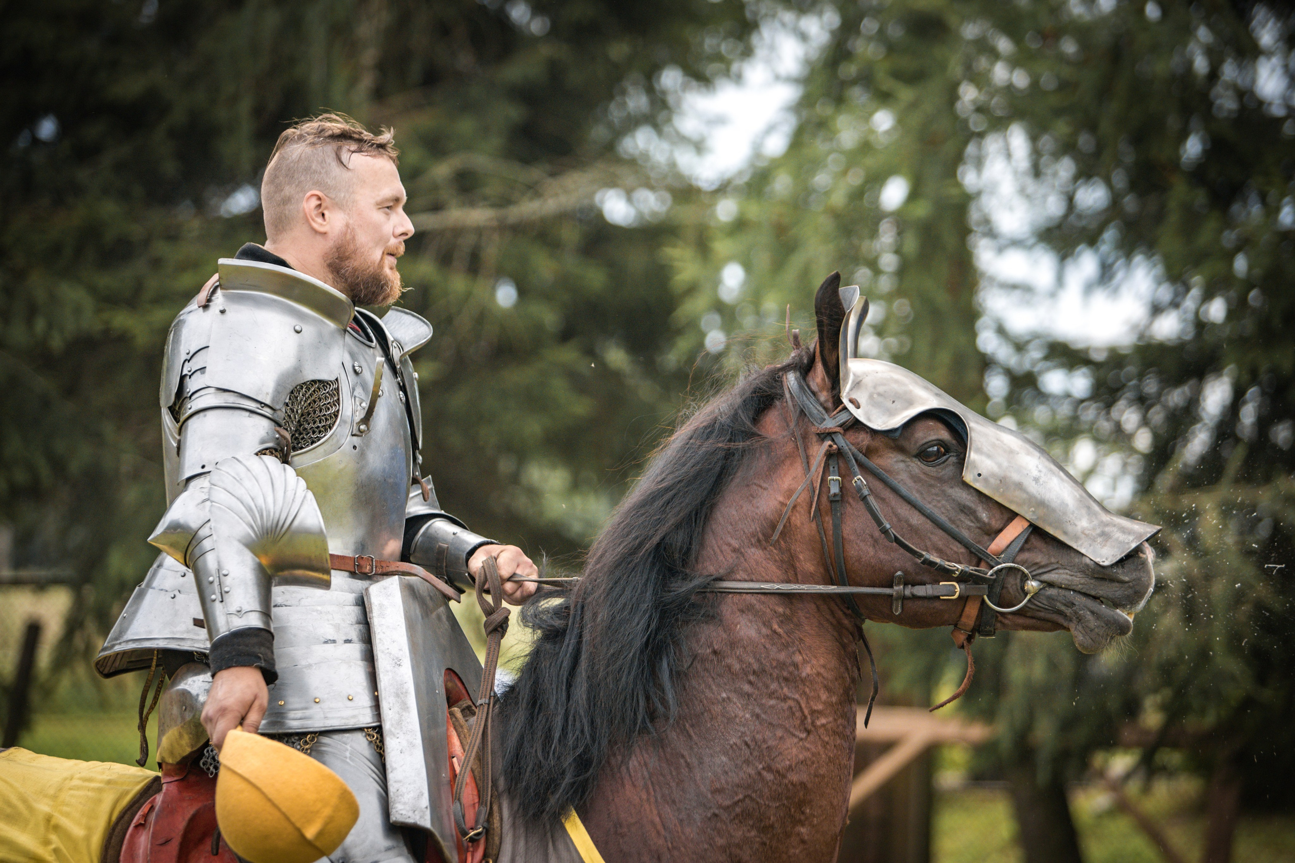 Наш Грюнвальд 2025. Рыцарский турнир. Профессиональный интерьерный и репортажный фотограф Минск и РБ. Максим Орлов