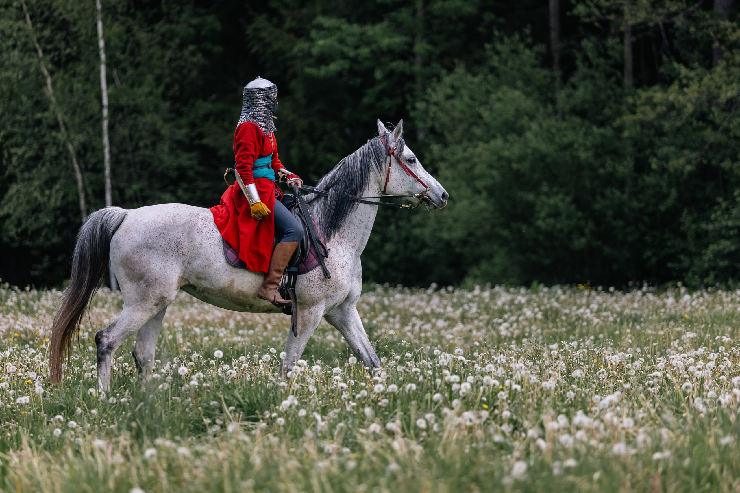 Золотая шпора. Маневры 17 века. Профессиональный интерьерный и репортажный фотограф Минск и РБ. Максим Орлов