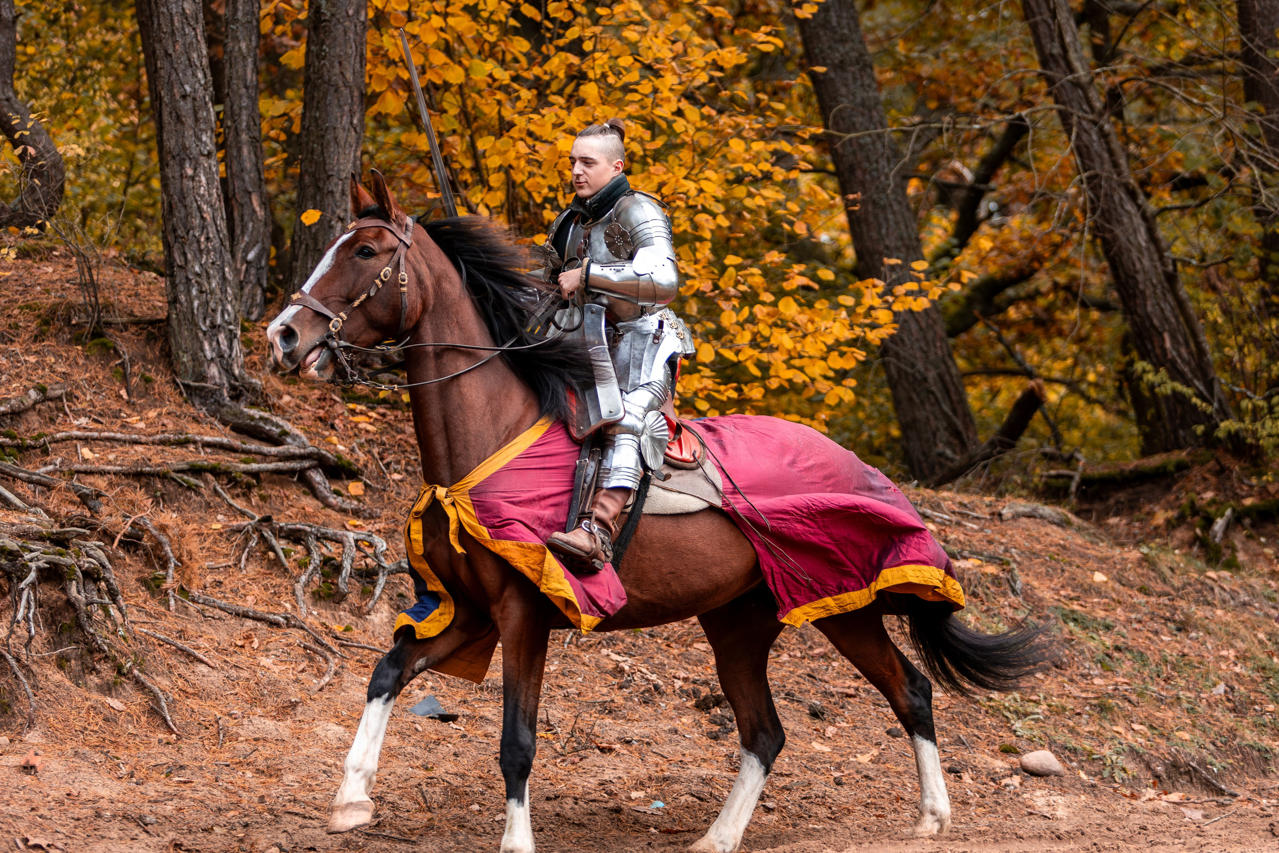 Рыцарская с Афиной. Дима Теслик. Профессиональный интерьерный и репортажный фотограф Минск и РБ. Максим Орлов