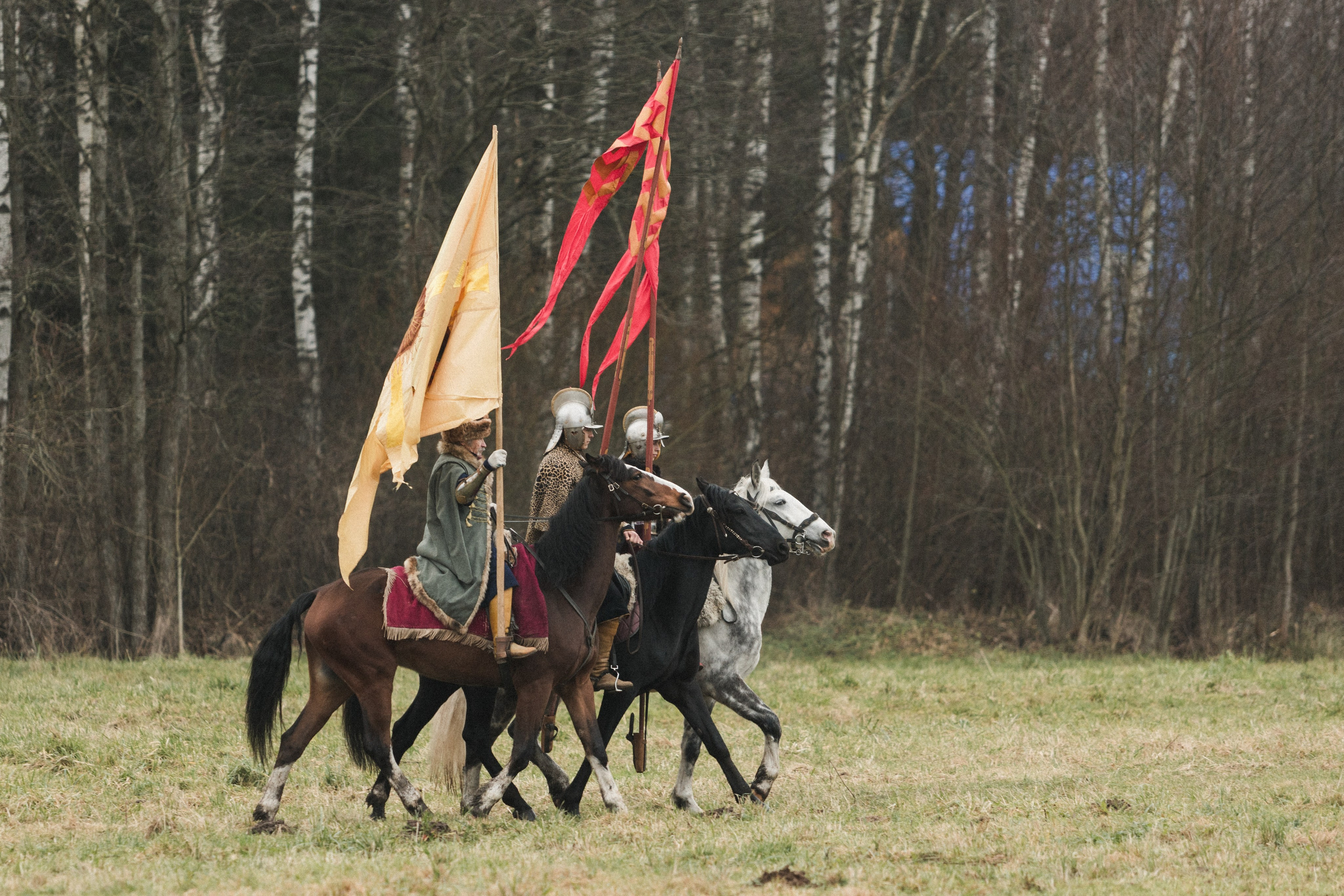 Маневры 17 века. Золотая шпора. Профессиональный интерьерный и репортажный фотограф Минск и РБ. Максим Орлов