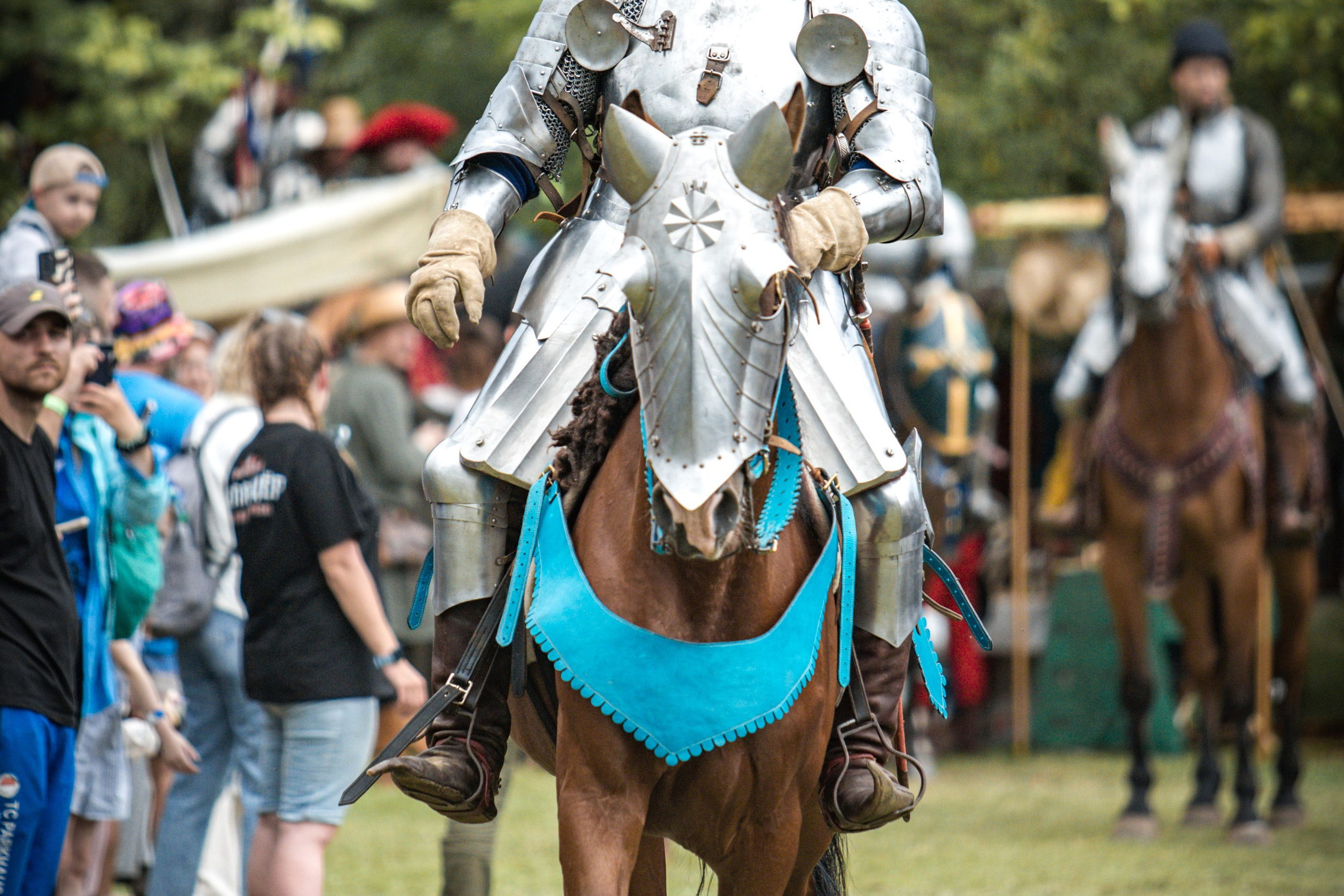 Наш Грюнвальд 2025. Рыцарский турнир. Профессиональный интерьерный и репортажный фотограф Минск и РБ. Максим Орлов