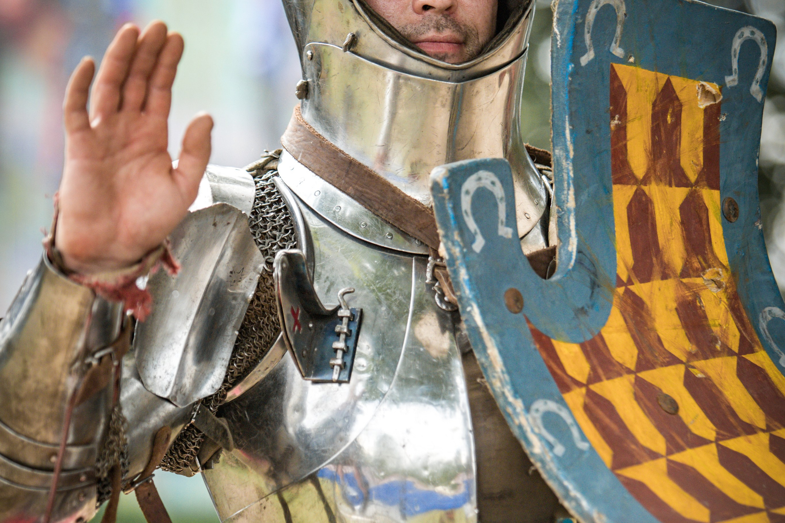 Наш Грюнвальд 2025. Рыцарский турнир. Профессиональный интерьерный и репортажный фотограф Минск и РБ. Максим Орлов