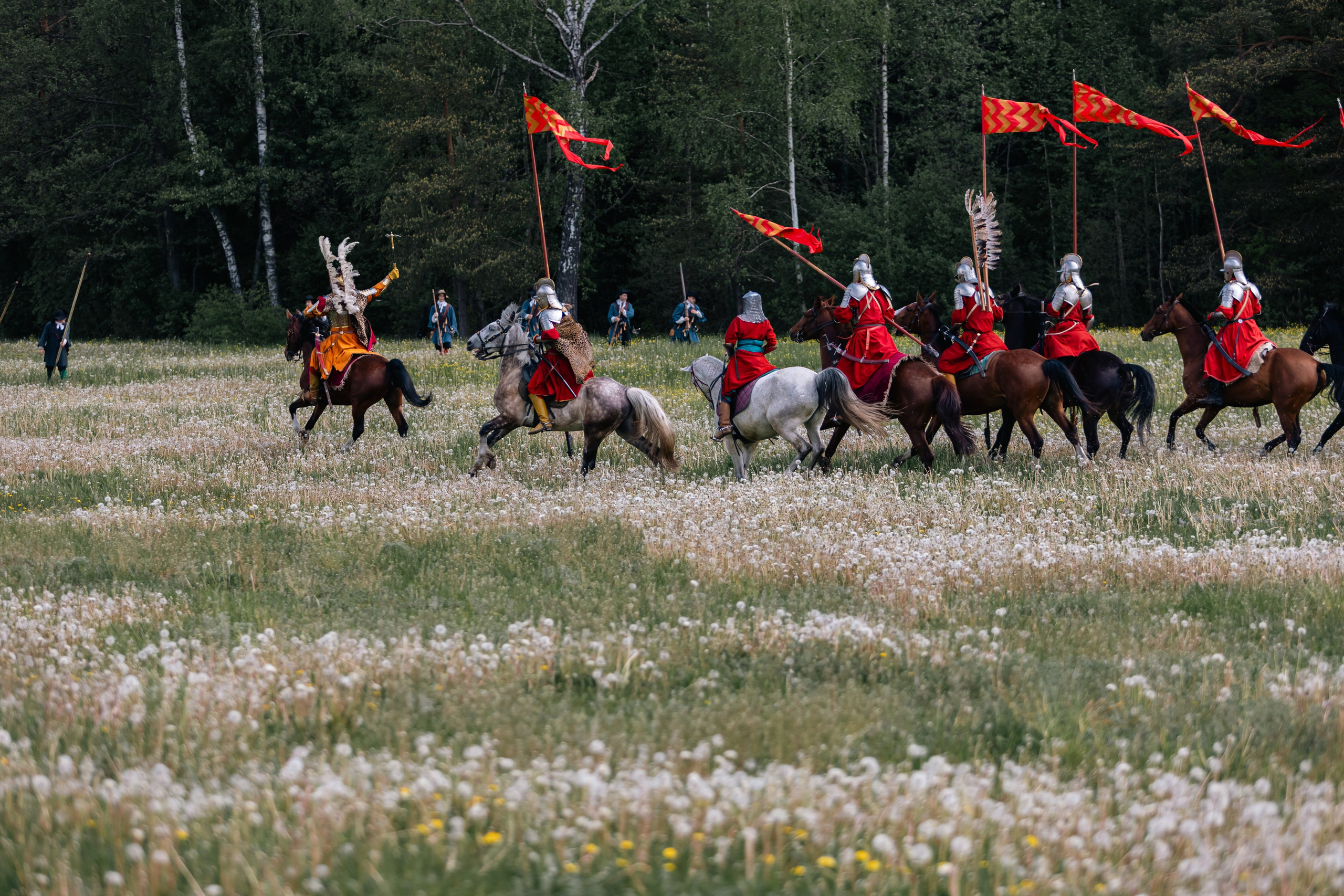 Золотая шпора. Маневры 17 века. Профессиональный интерьерный и репортажный фотограф Минск и РБ. Максим Орлов