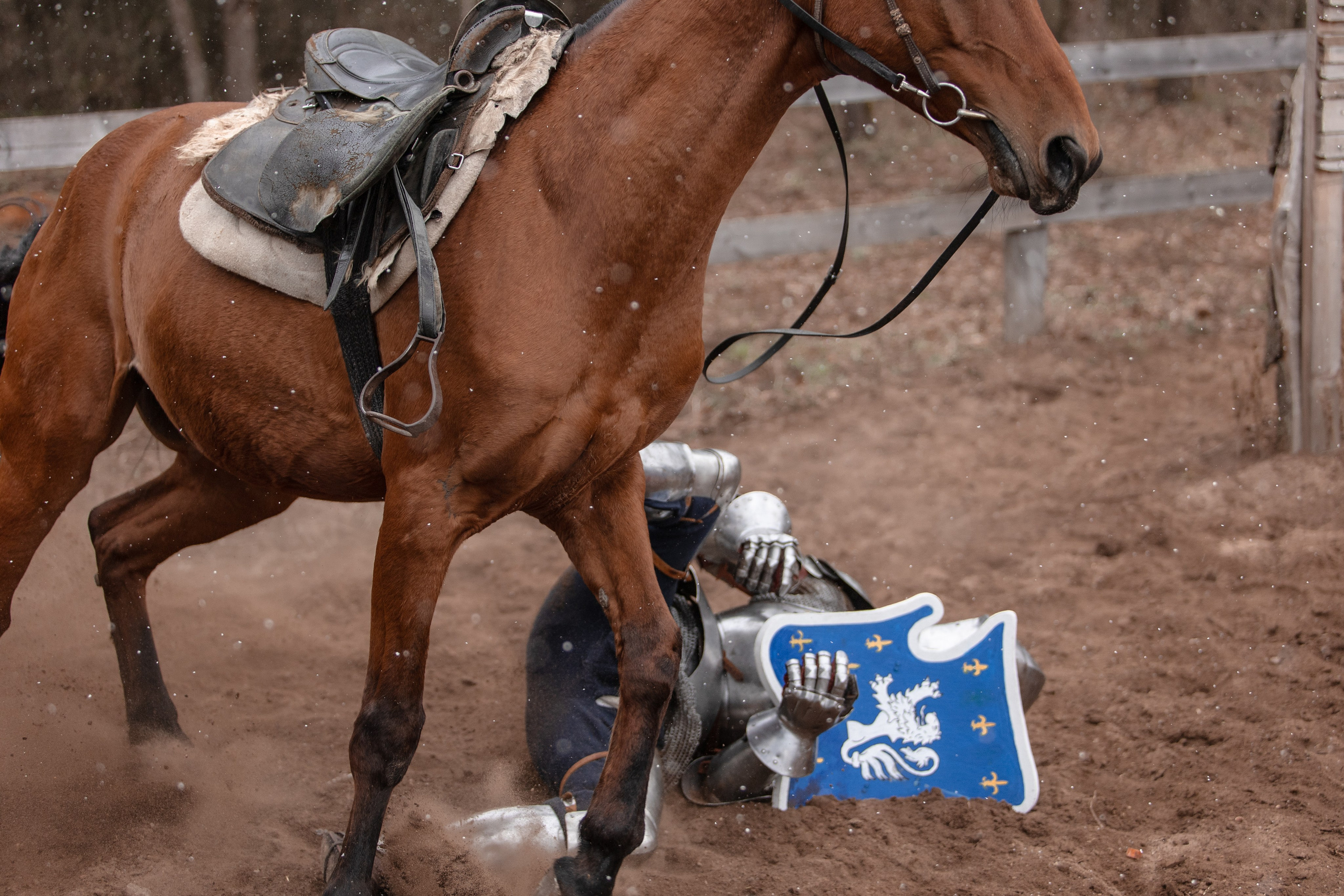 Турнир «Золотой шпоры». Профессиональный интерьерный и репортажный фотограф Минск и РБ. Максим Орлов
