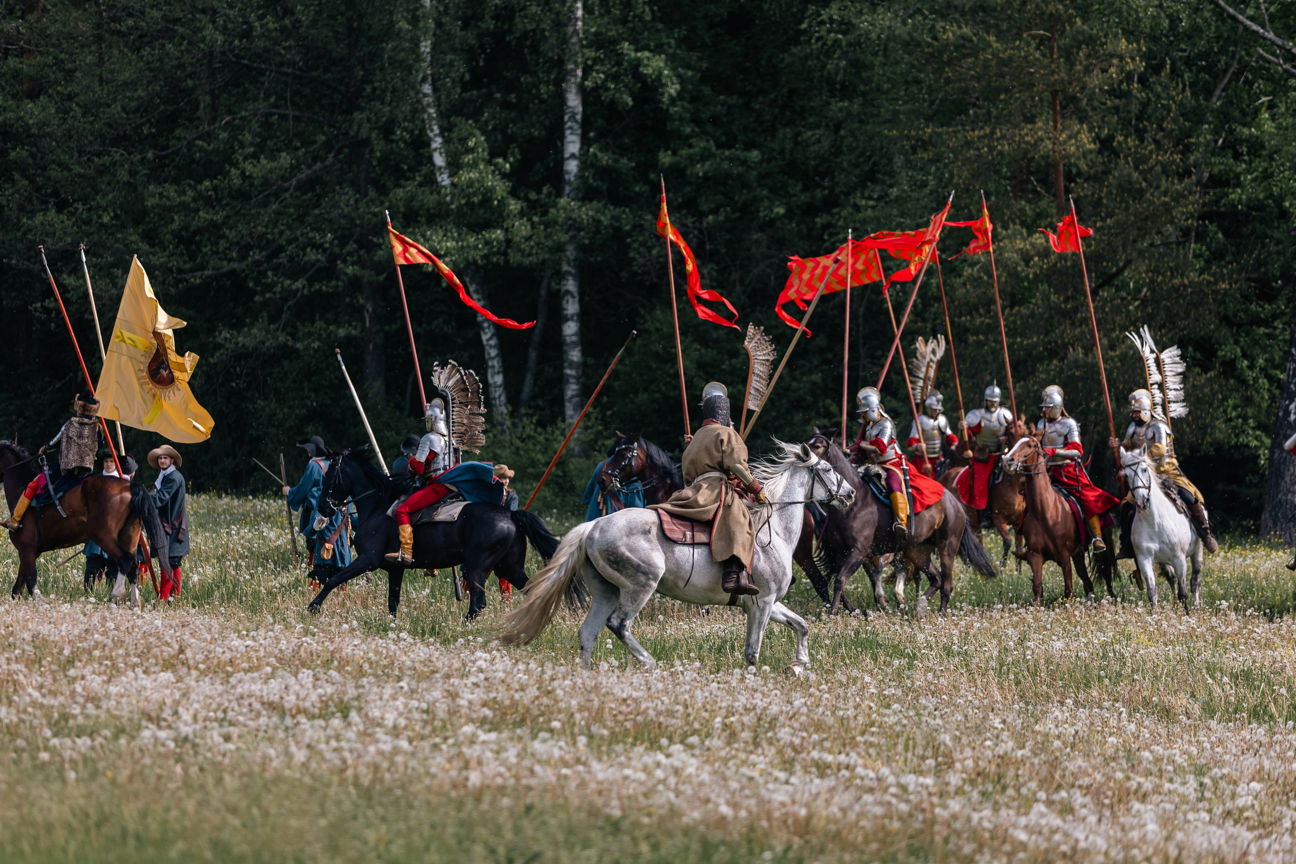 Золотая шпора. Маневры 17 века. Профессиональный интерьерный и репортажный фотограф Минск и РБ. Максим Орлов