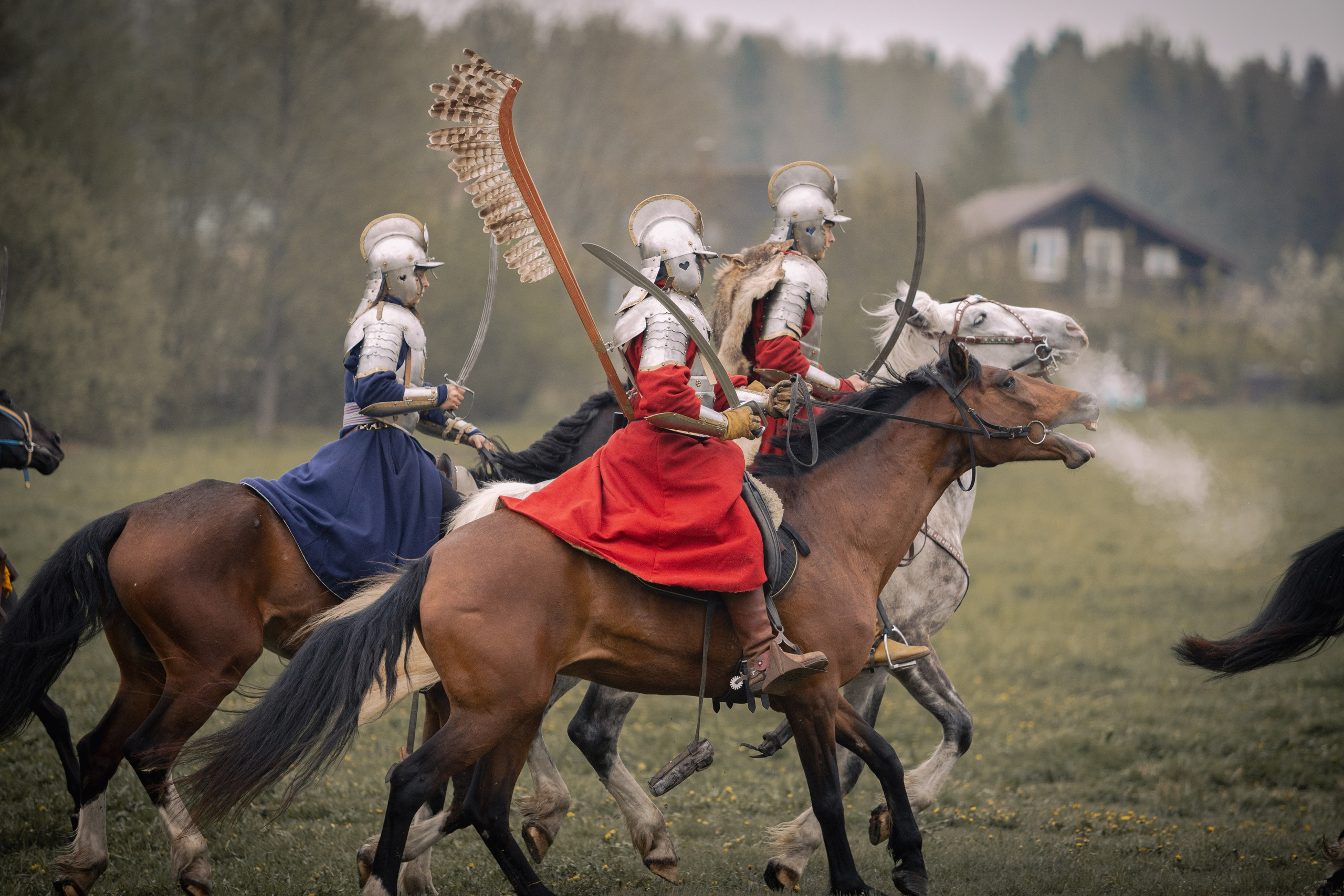 Золотая шпора. Огнем и мечем. День третий. Бой на поле. Профессиональный интерьерный и репортажный фотограф Минск и РБ. Максим Орлов